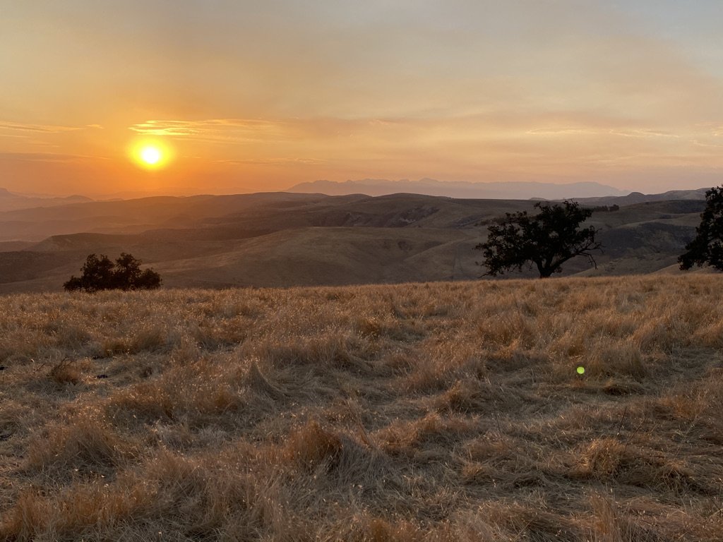 Big Sky Movie Ranch - Rob Frank Manager - Gallery Image