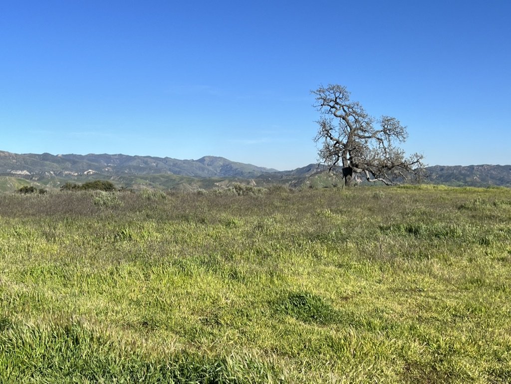 Big Sky Movie Ranch - Rob Frank Manager - Gallery Image