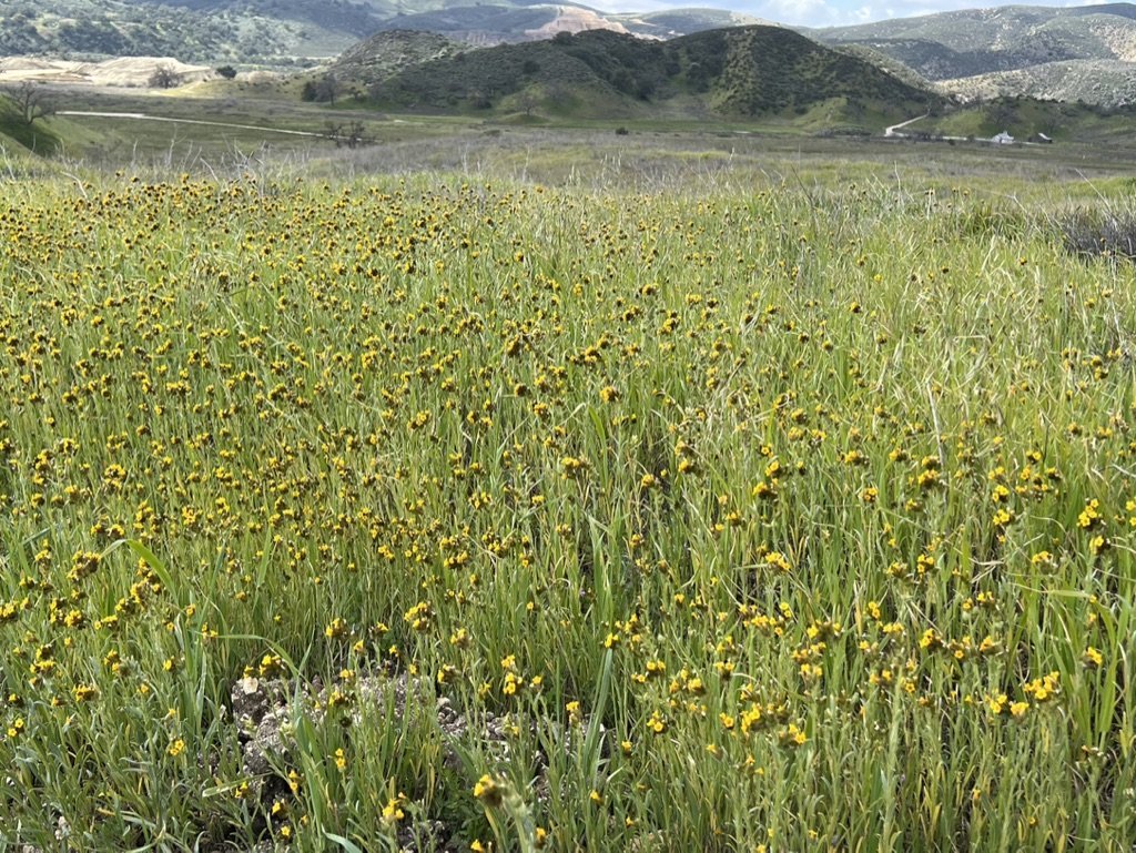 Big Sky Movie Ranch - Rob Frank Manager - Gallery Image