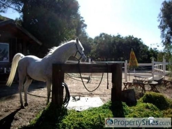 Rural horse property - Gallery Image