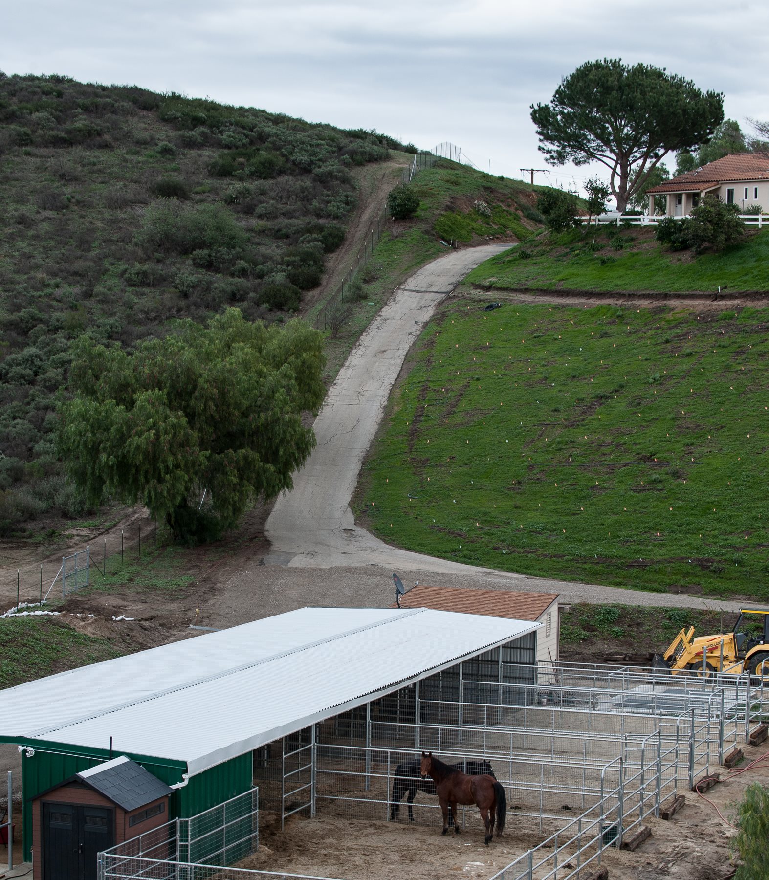 Farm house with avocados - Gallery Image