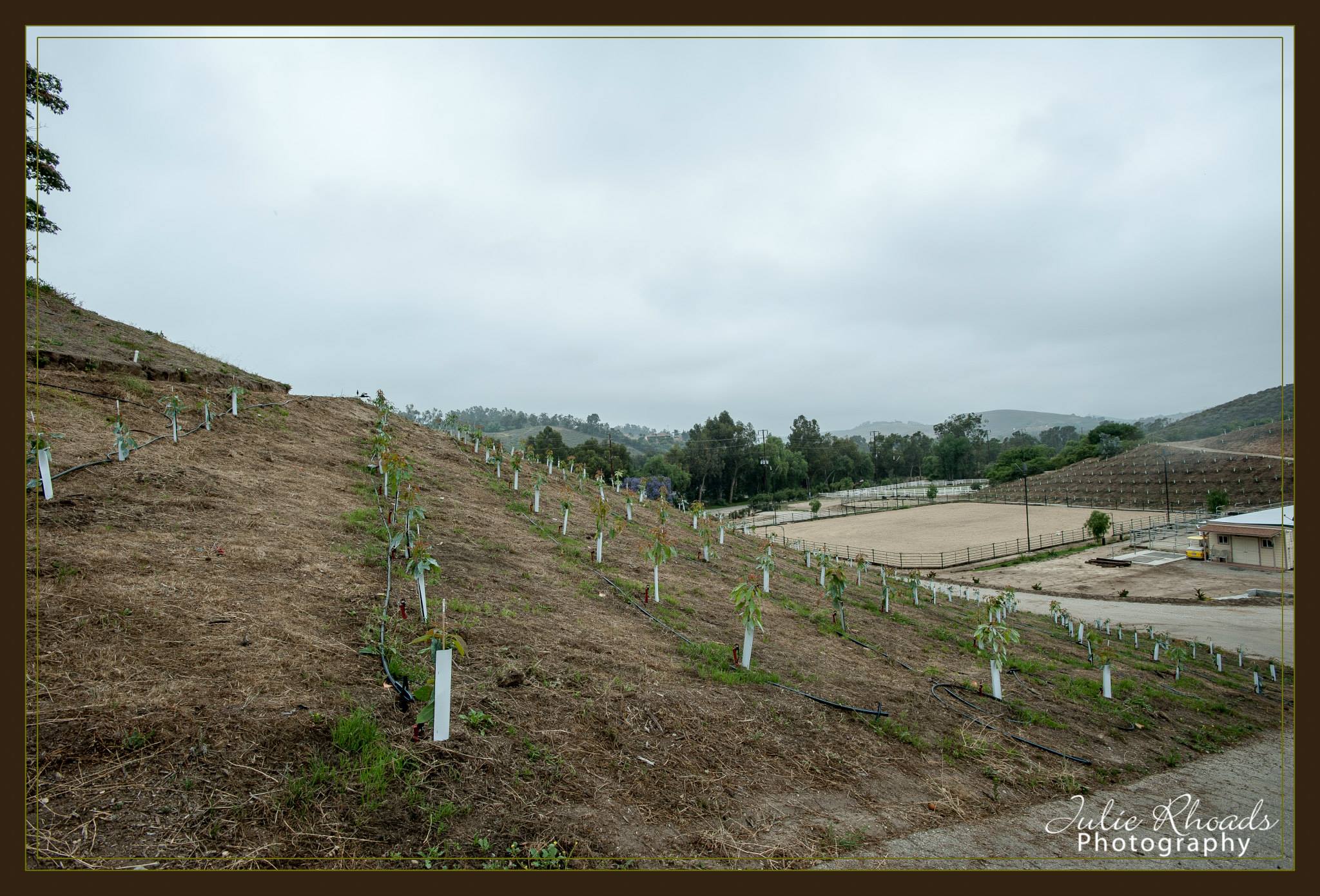 Farm house with avocados - Gallery Image