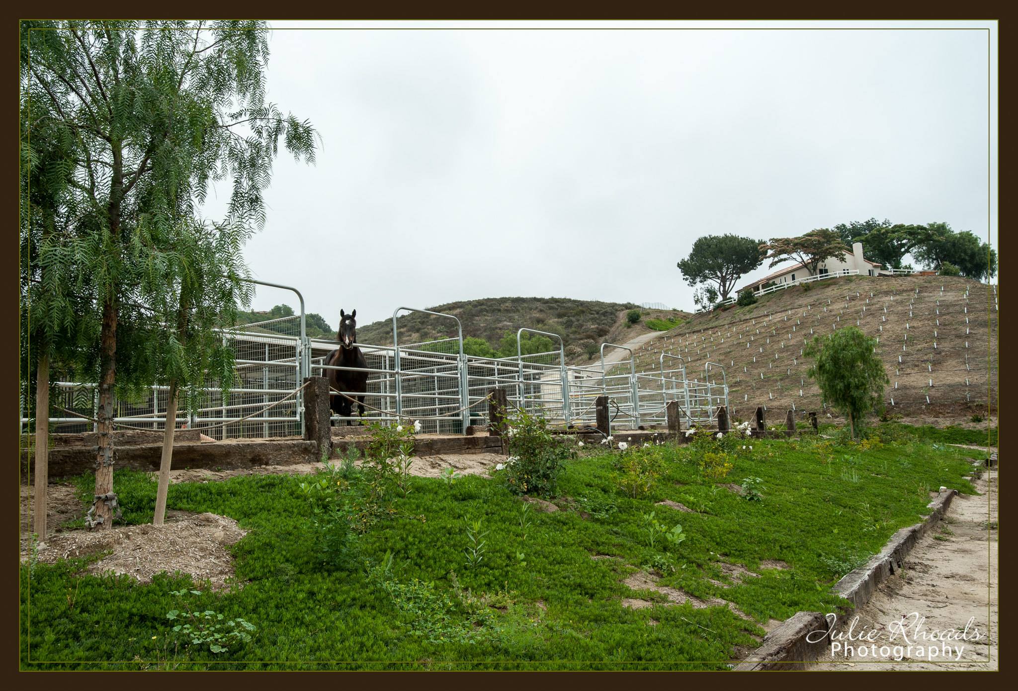 Farm house with avocados - Gallery Image