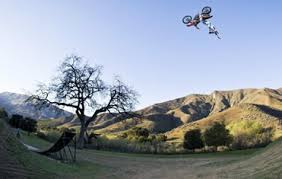 Wyvern Ranch - Gallery Image