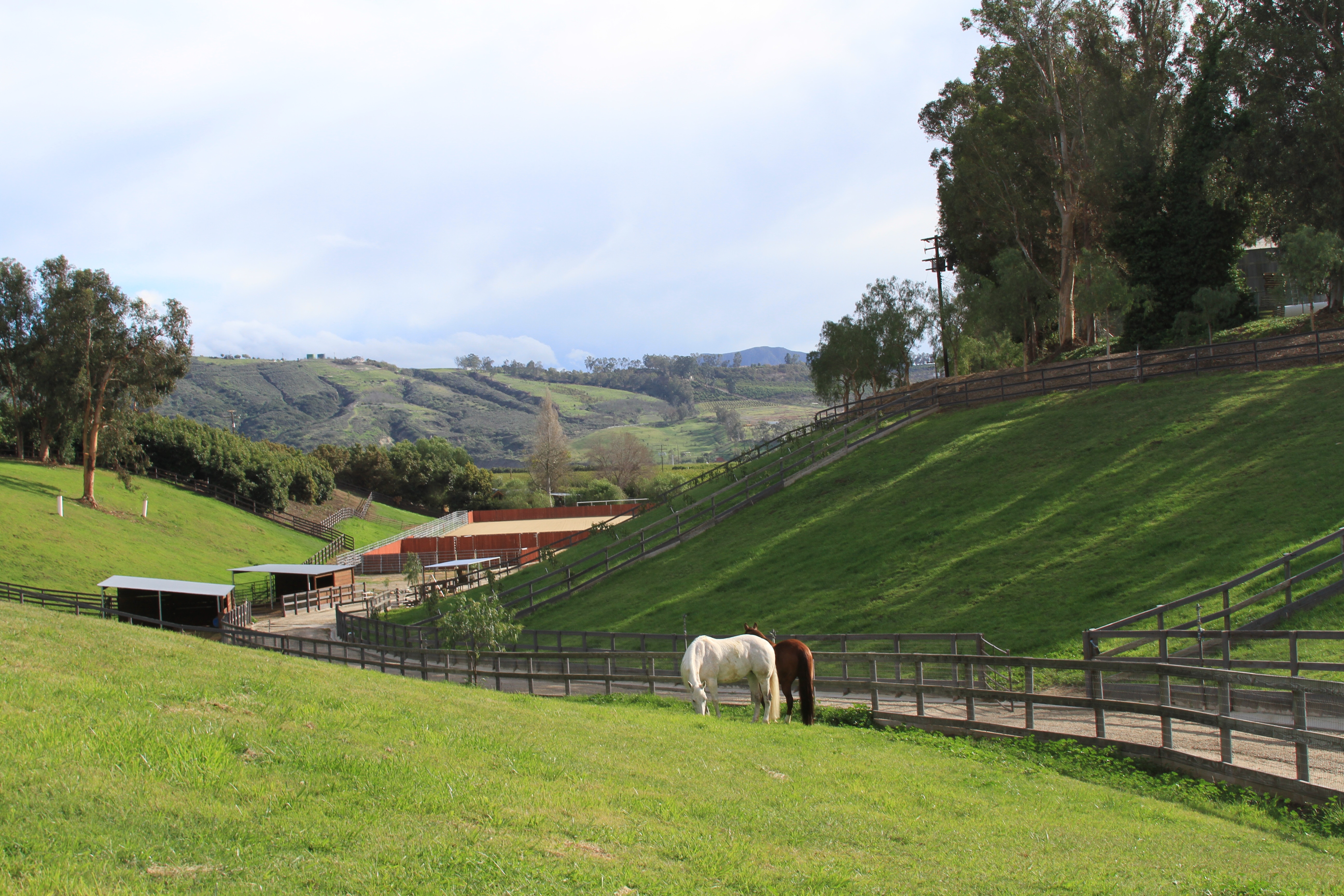 Turning Point Ranch - Hero Image