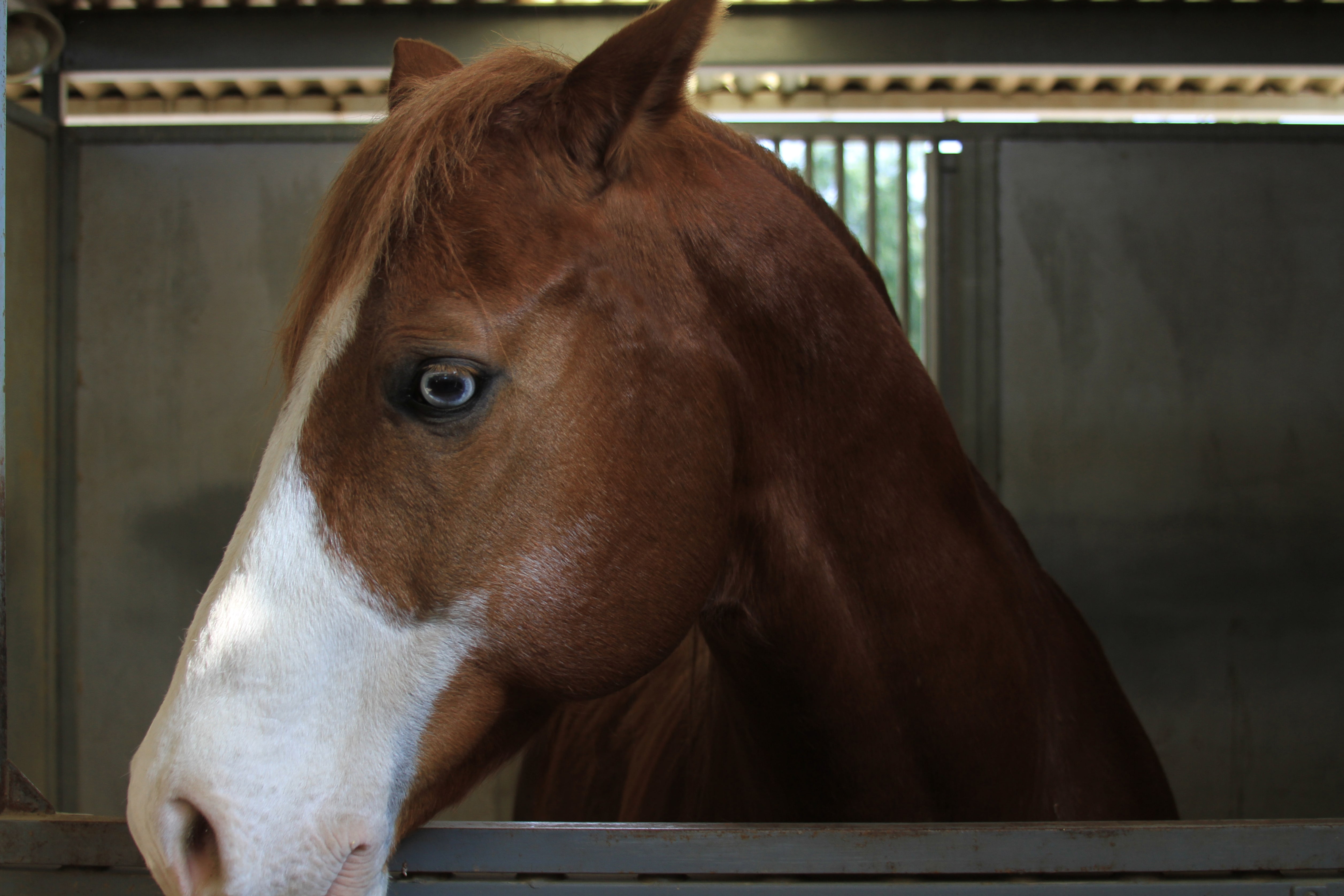 Turning Point Ranch - Gallery Image