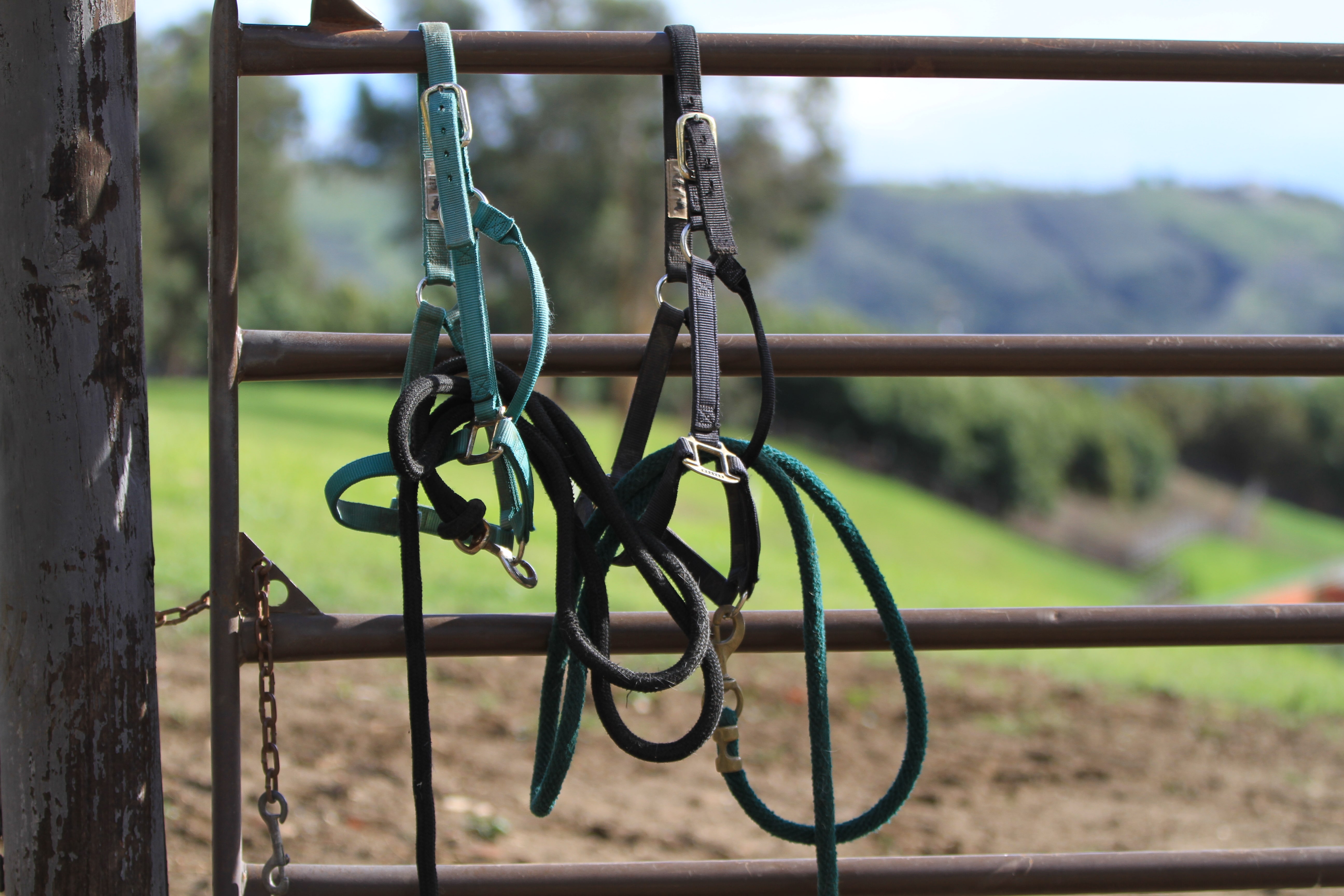 Turning Point Ranch - Gallery Image
