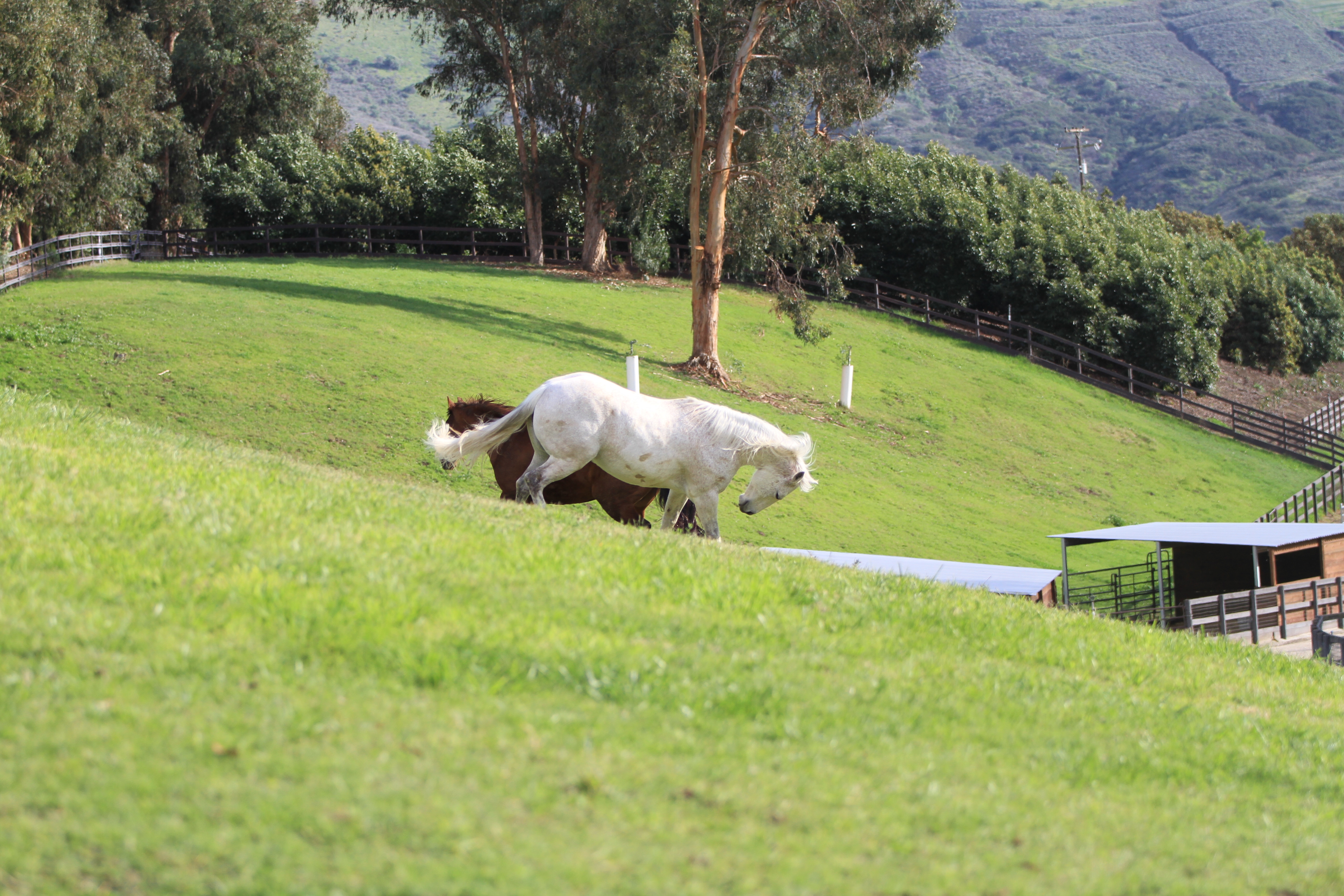 Turning Point Ranch - Gallery Image