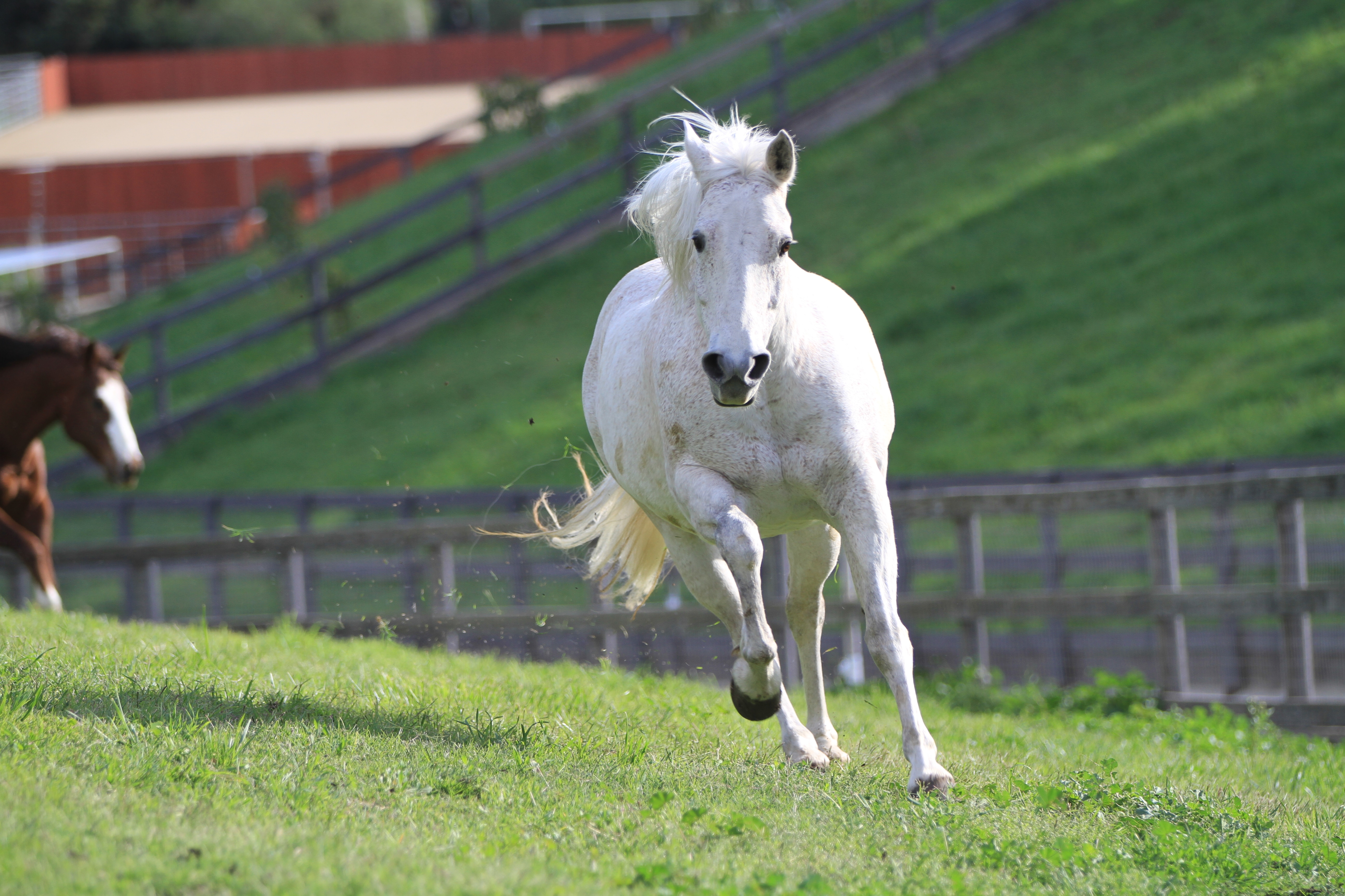 Turning Point Ranch - Gallery Image