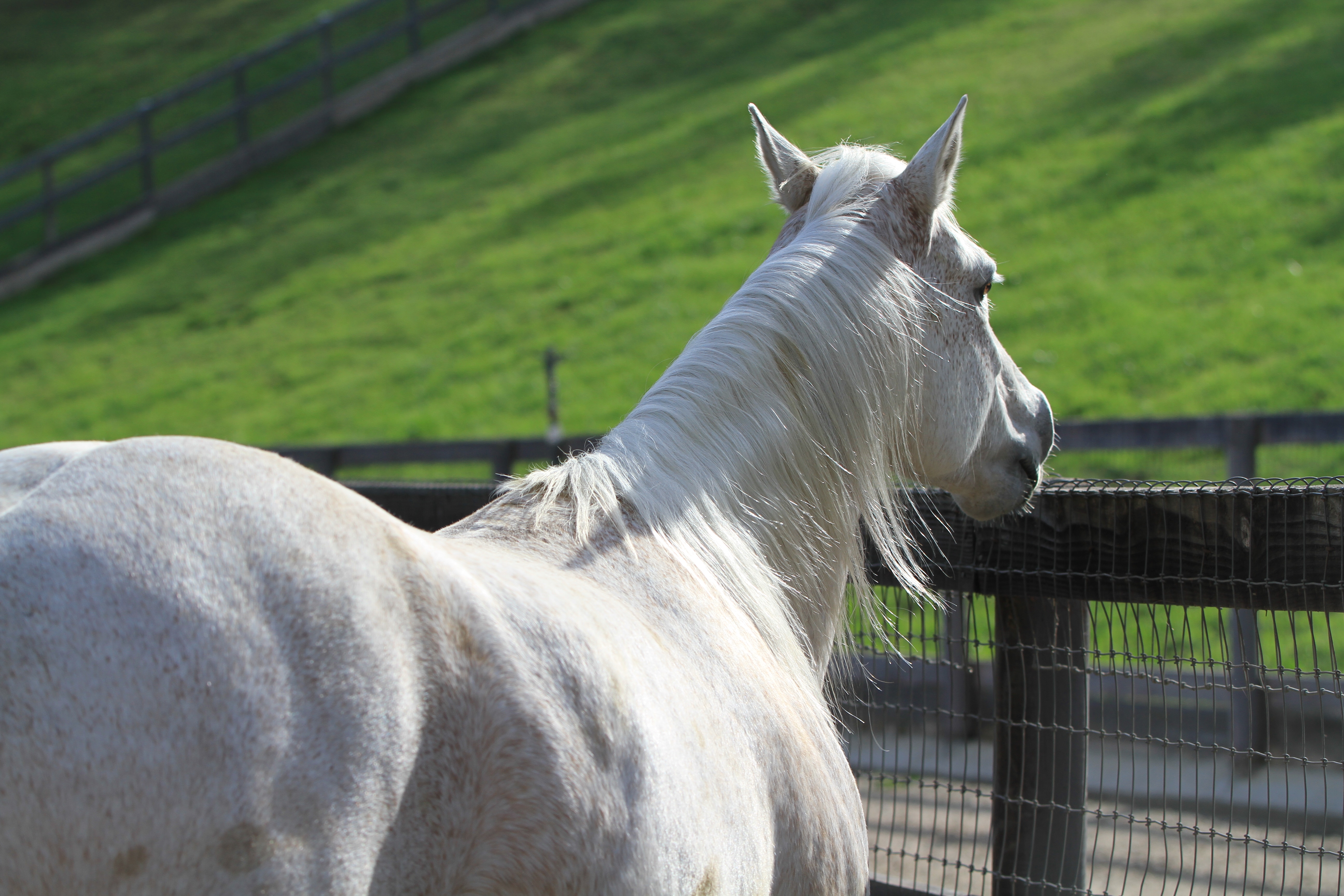 Turning Point Ranch - Gallery Image