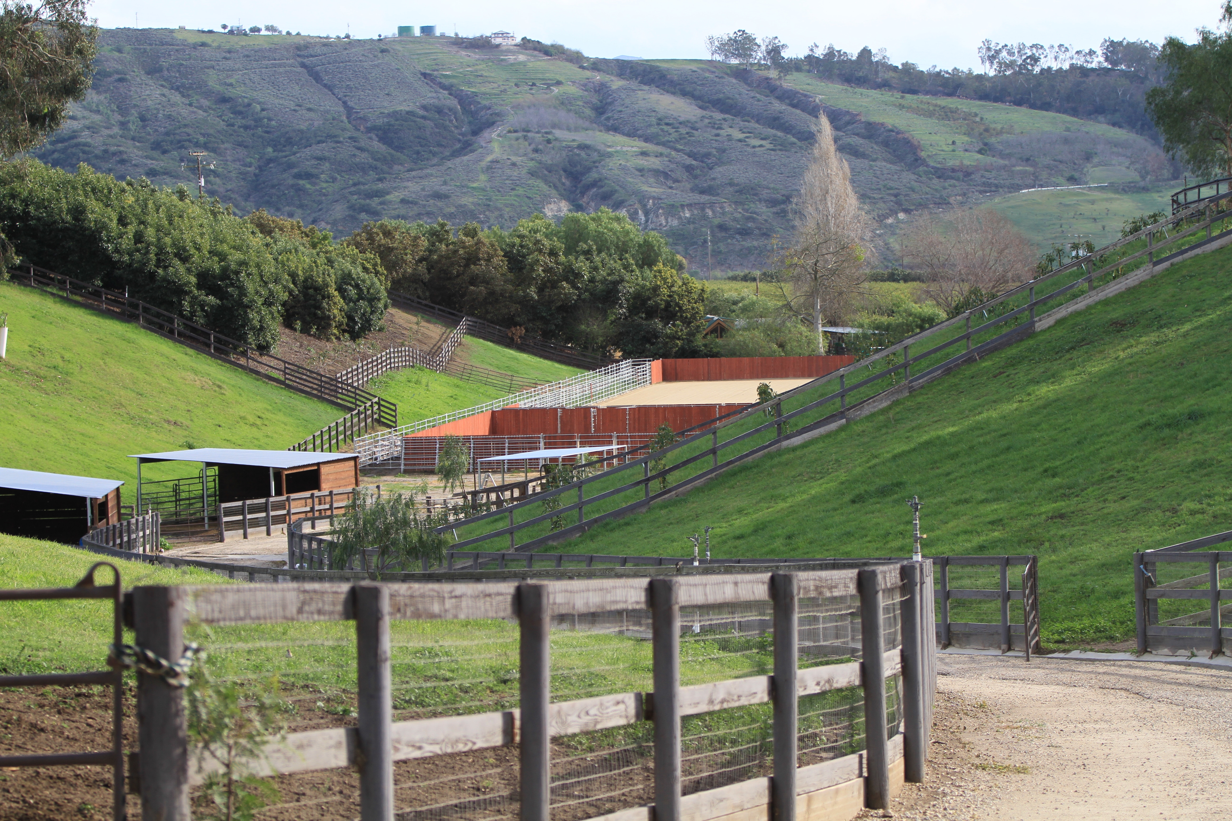 Turning Point Ranch - Gallery Image