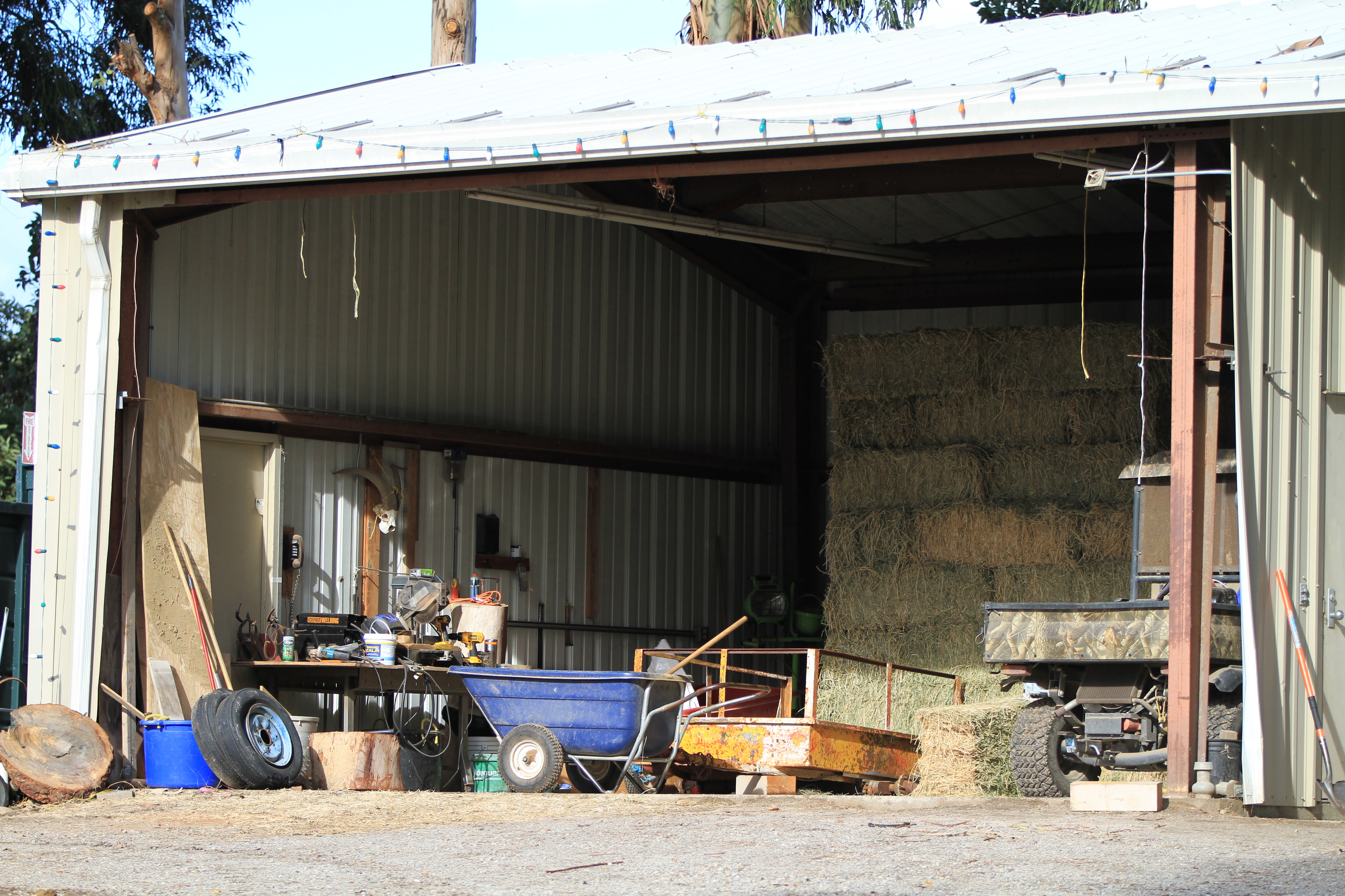 Turning Point Ranch - Gallery Image