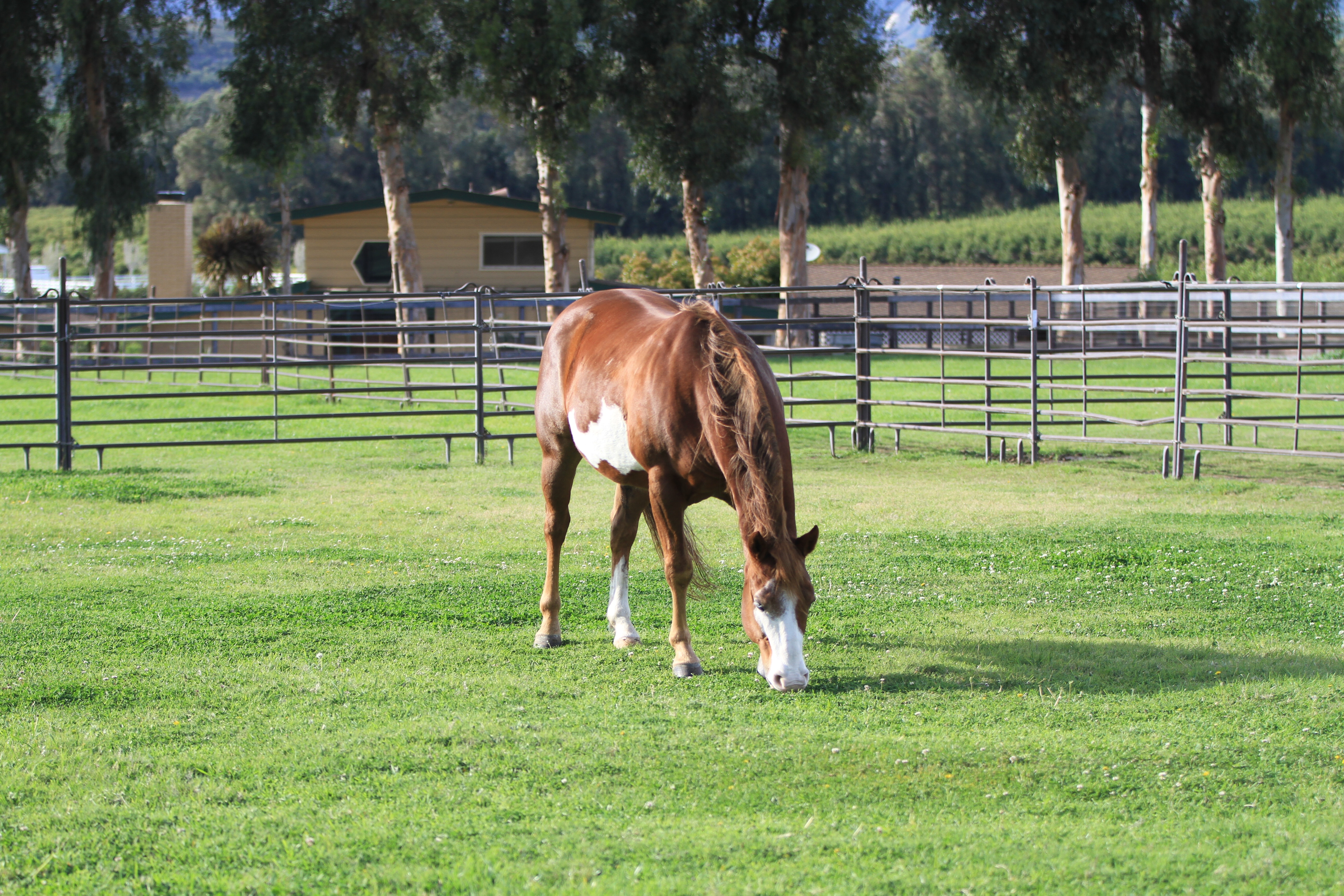 Turning Point Ranch - Gallery Image