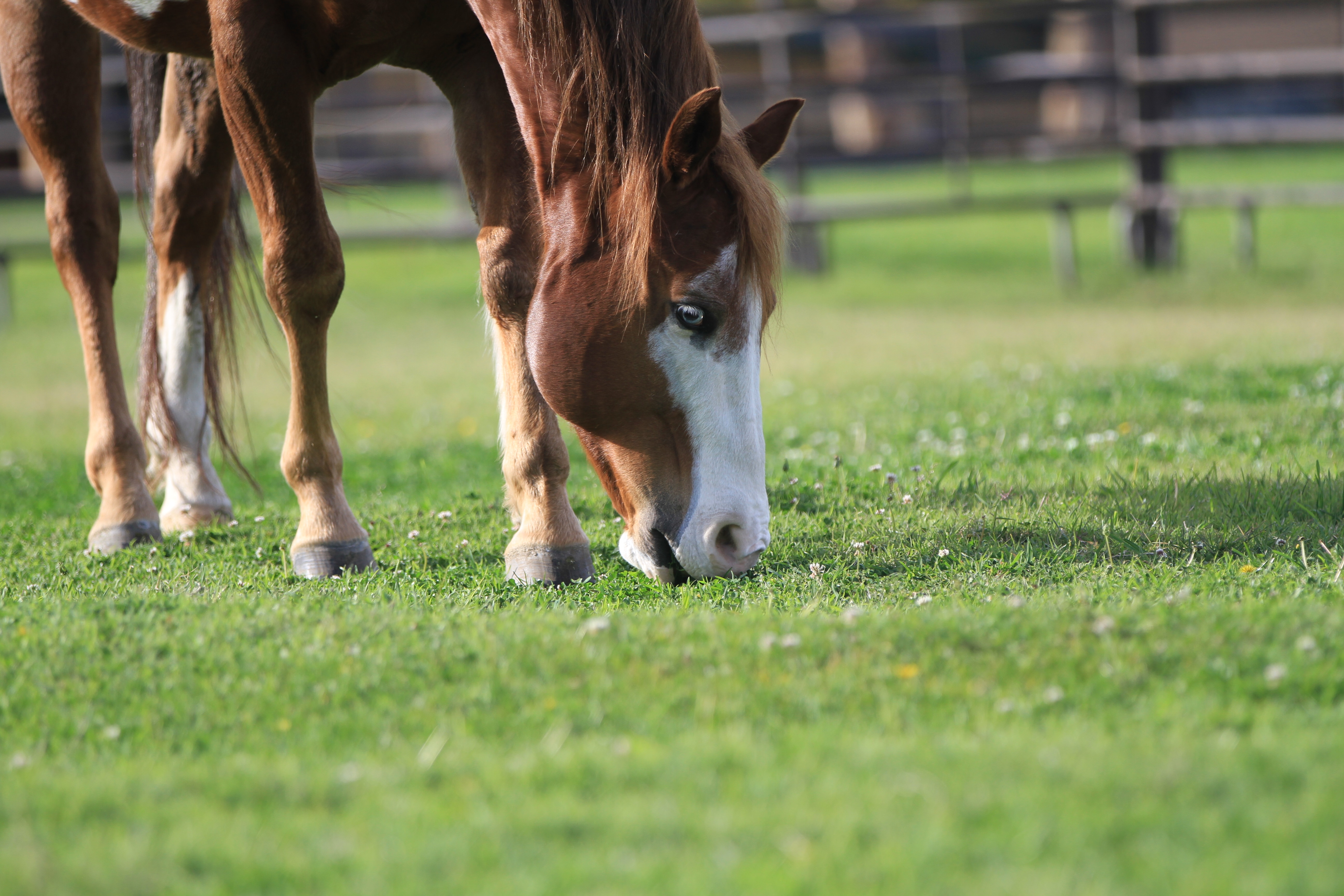 Turning Point Ranch - Gallery Image