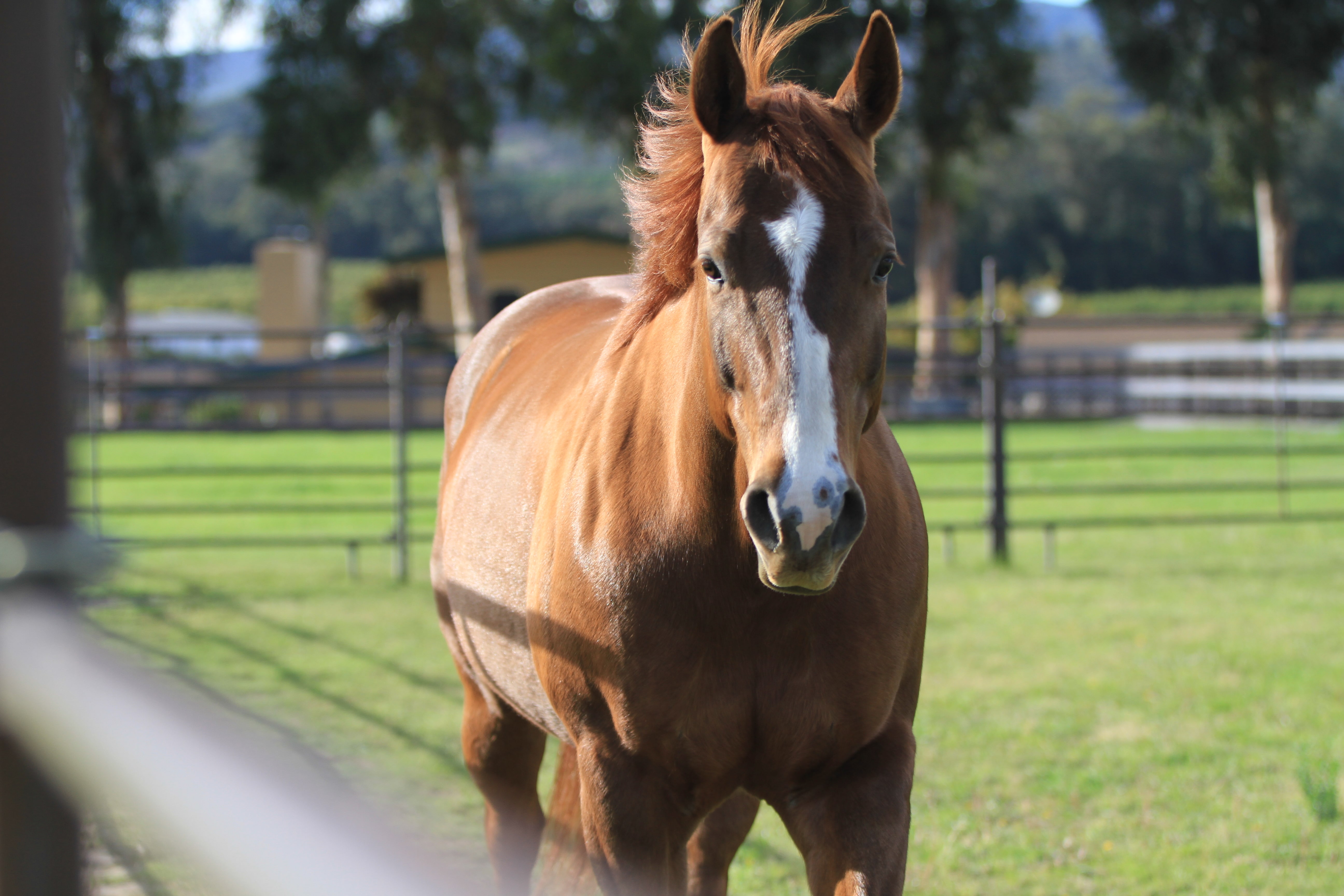 Turning Point Ranch - Gallery Image