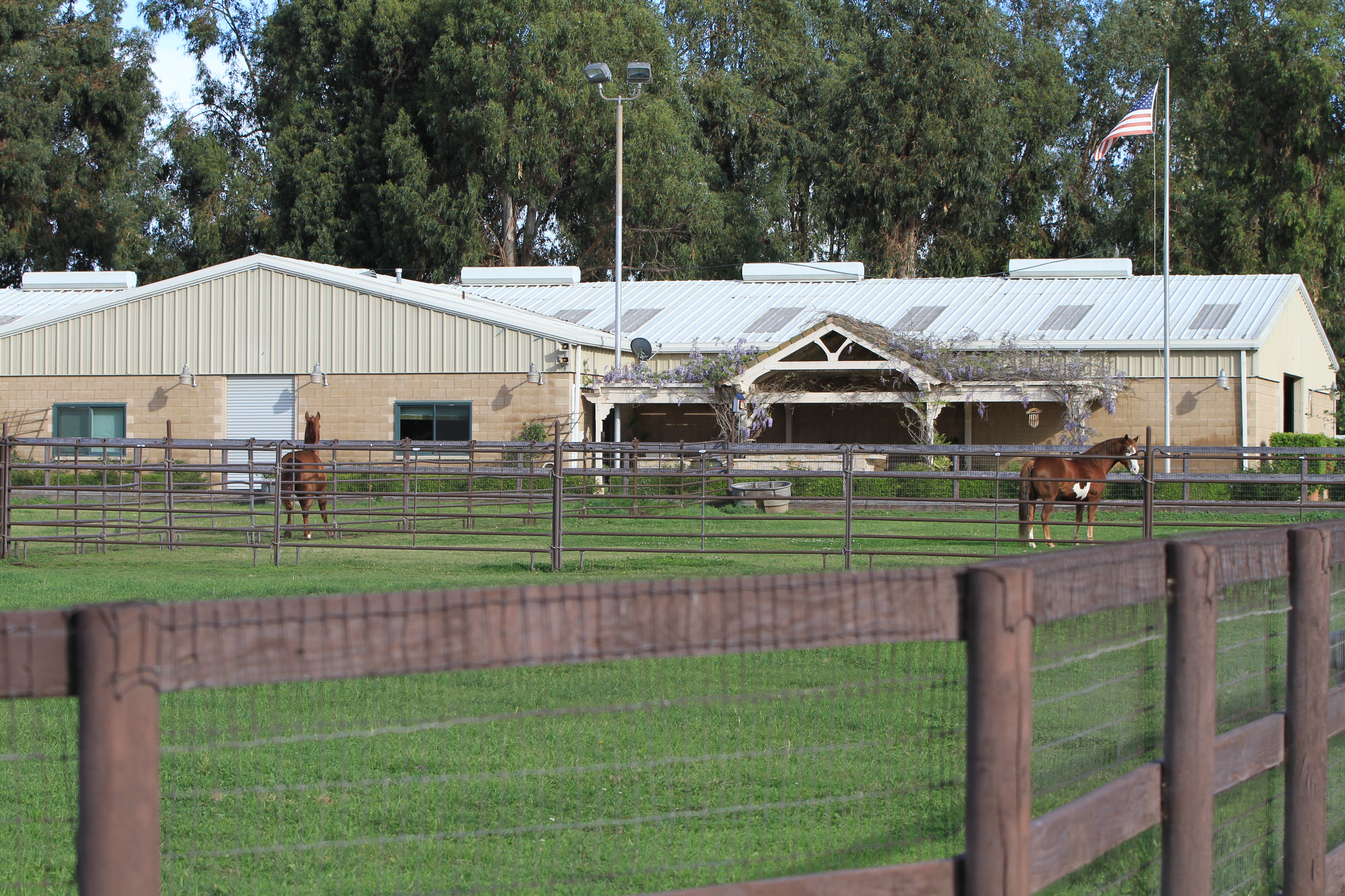 Turning Point Ranch - Gallery Image