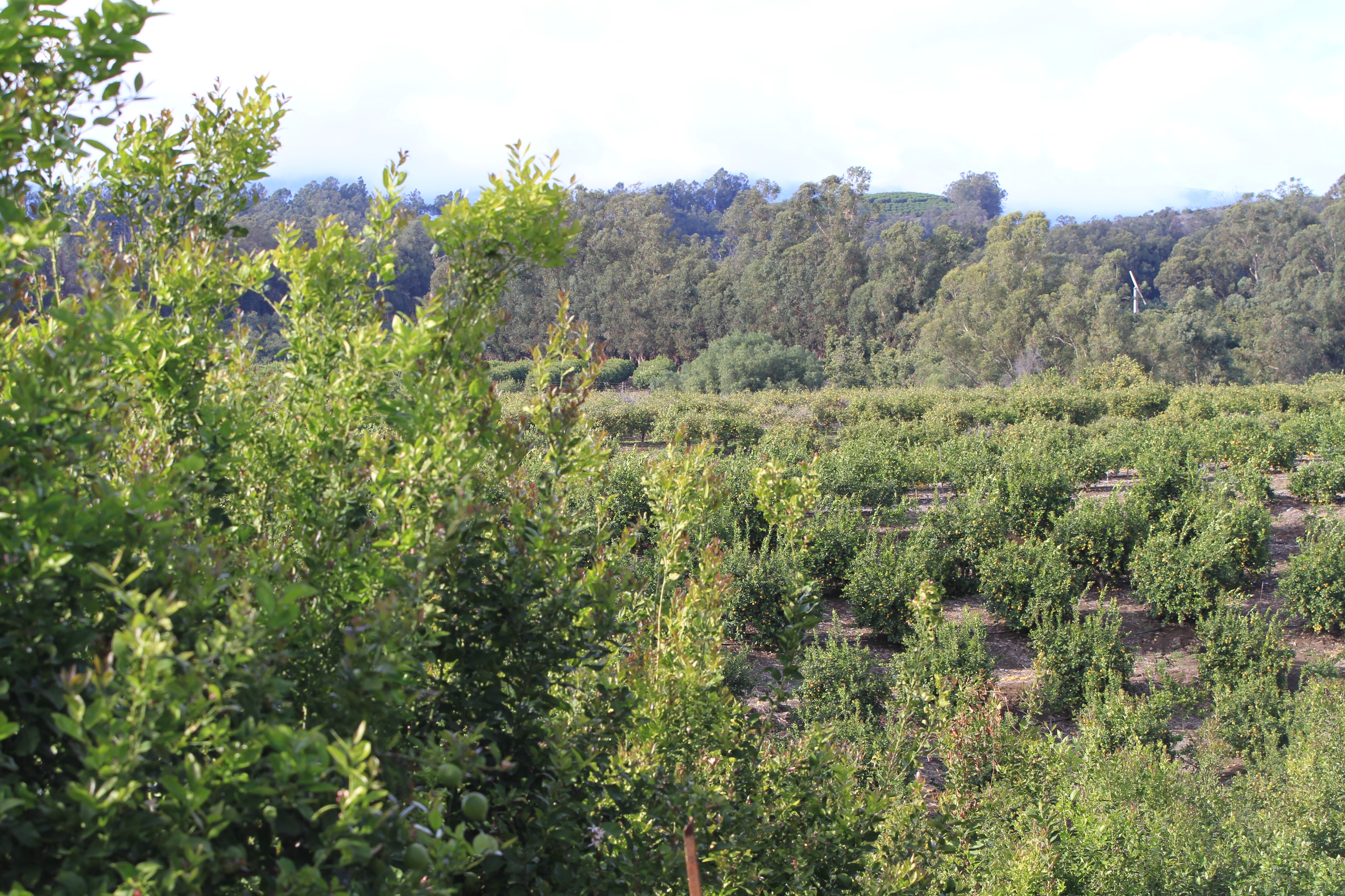 Turning Point Ranch - Gallery Image