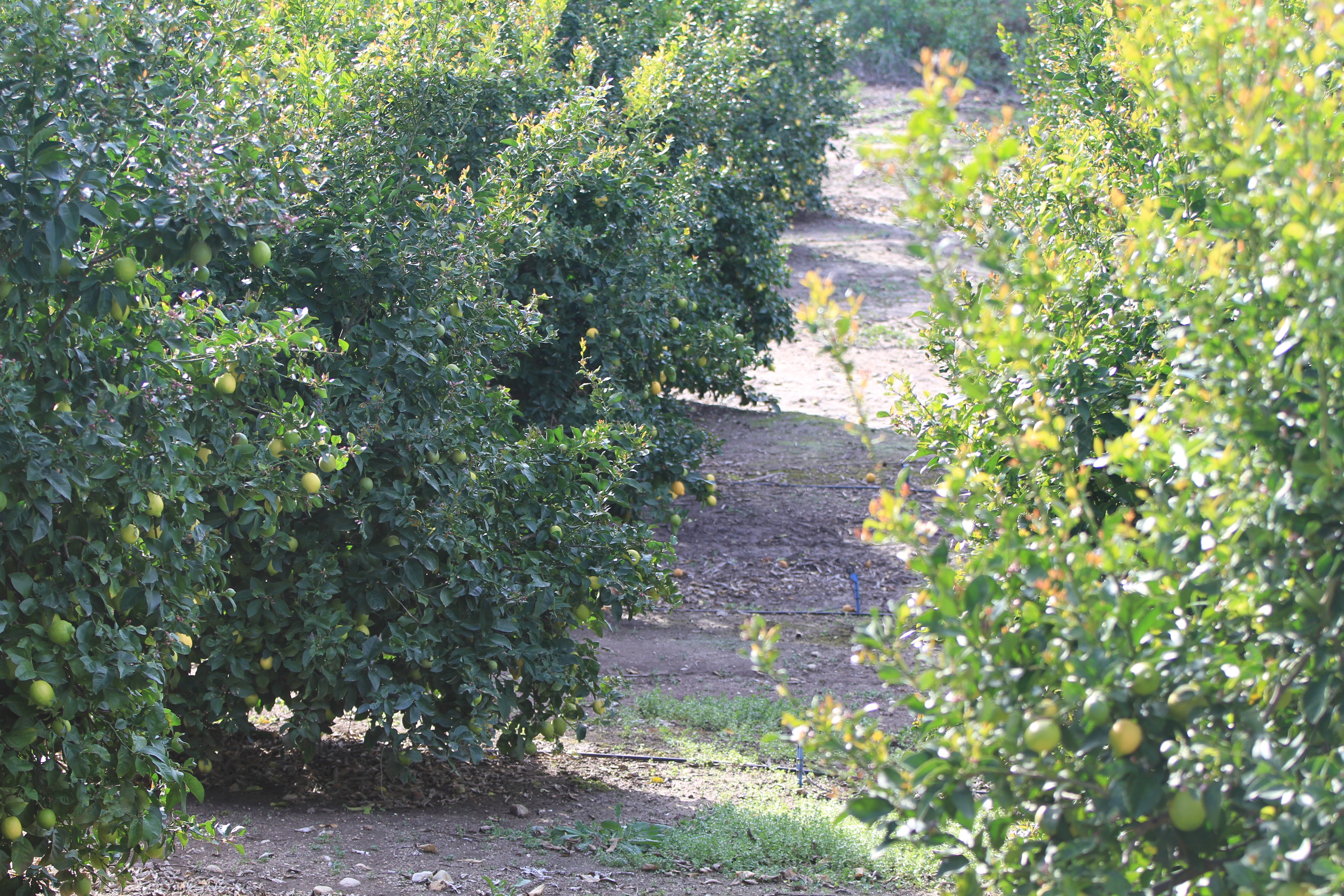 Turning Point Ranch - Gallery Image