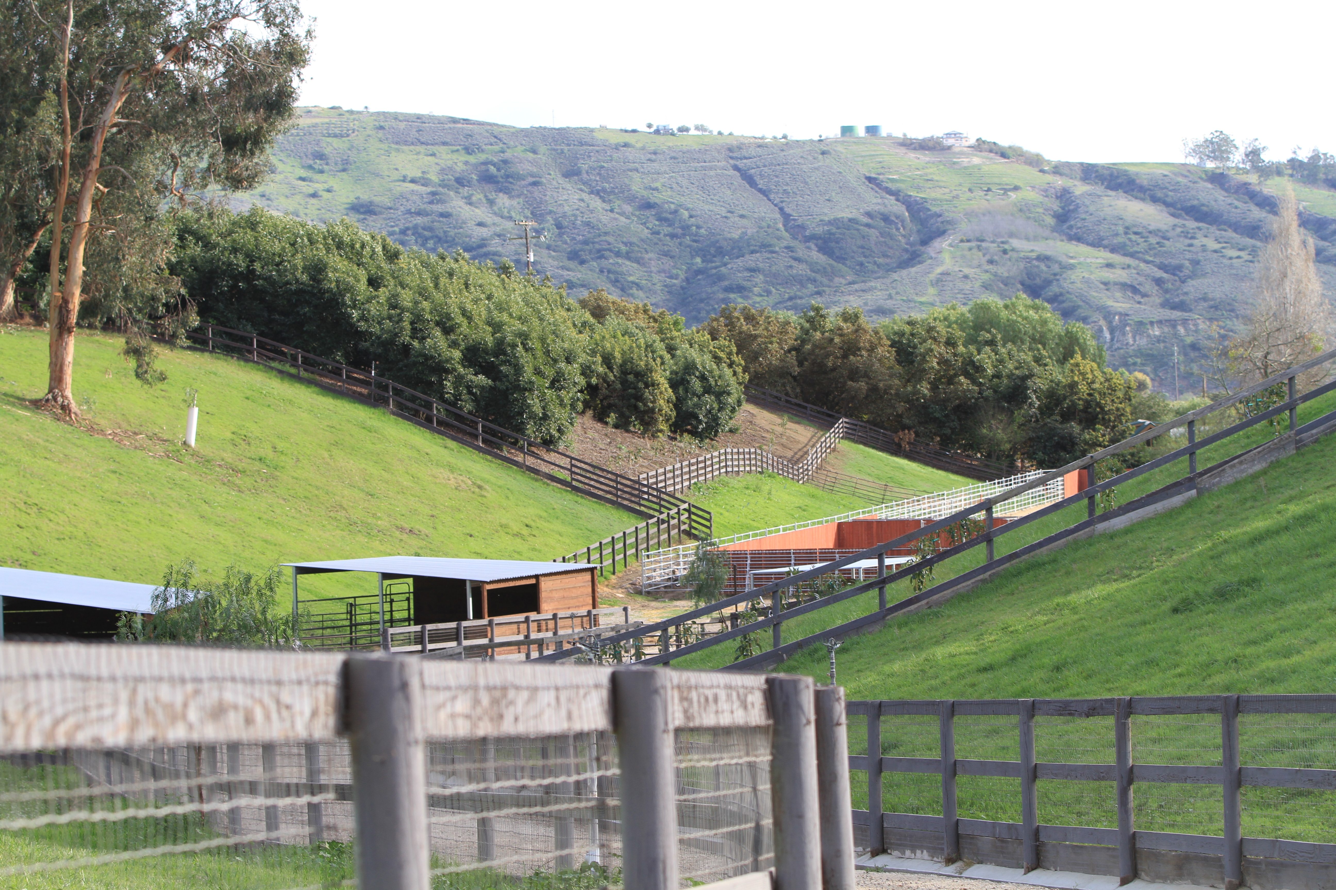 Turning Point Ranch - Gallery Image