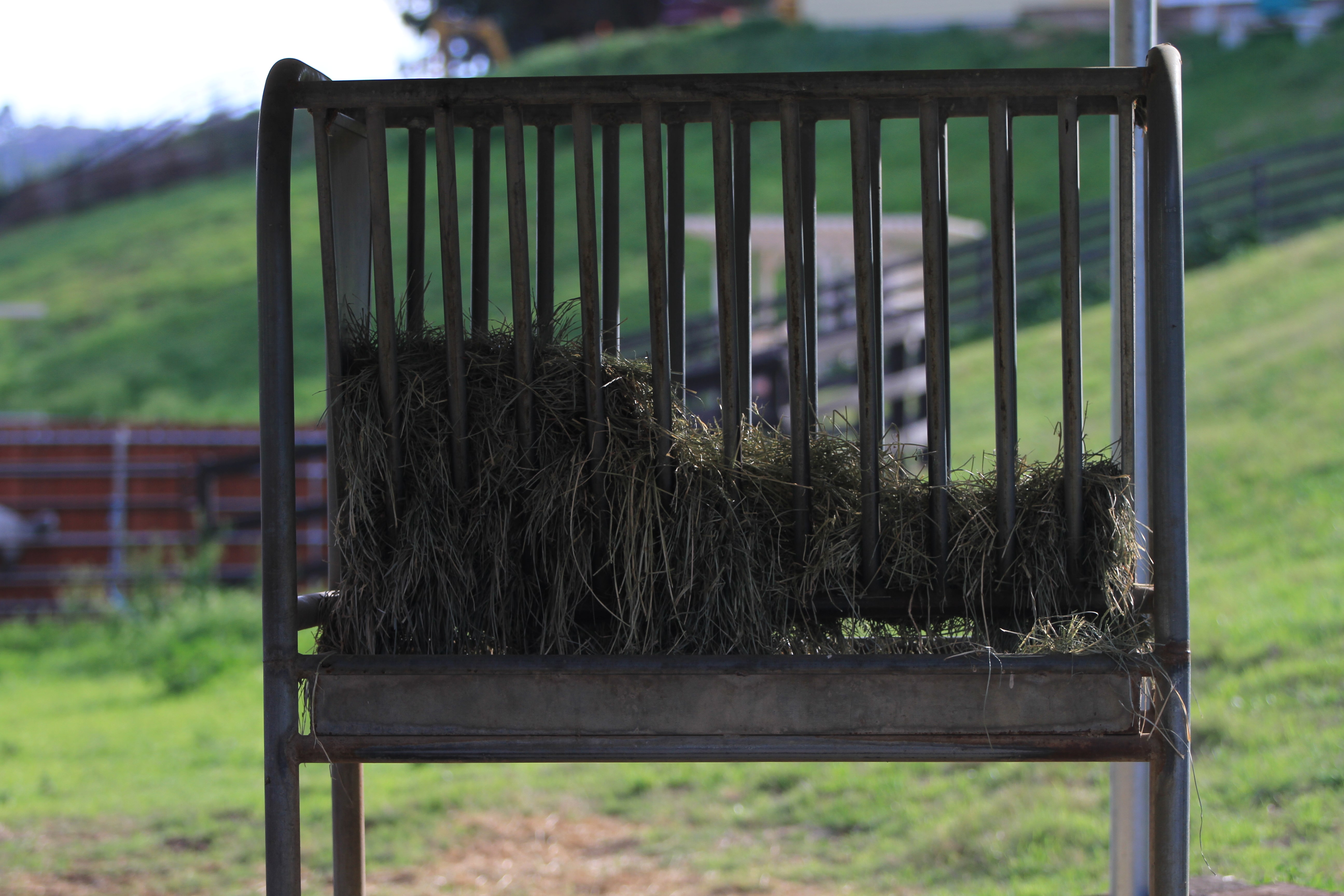 Turning Point Ranch - Gallery Image
