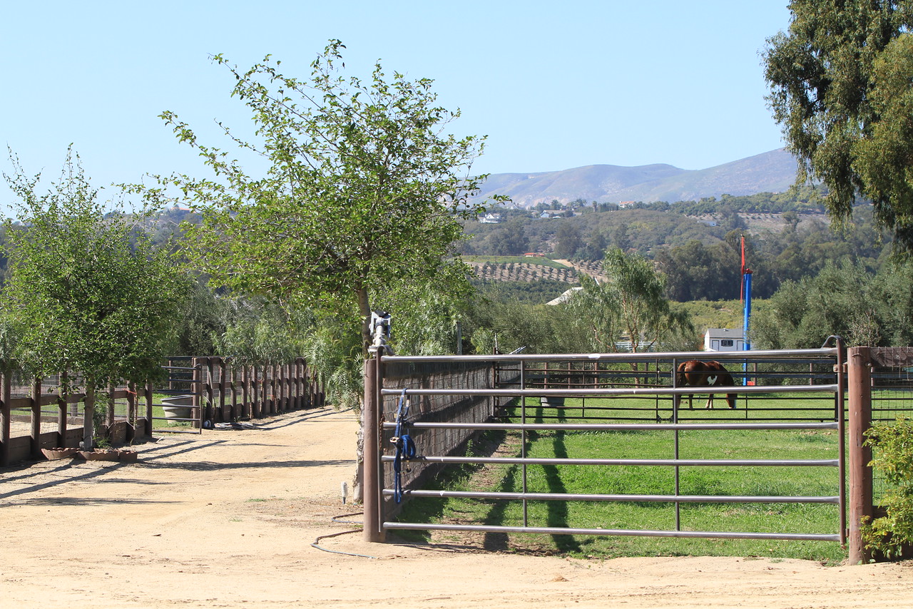 Turning Point Ranch - Gallery Image