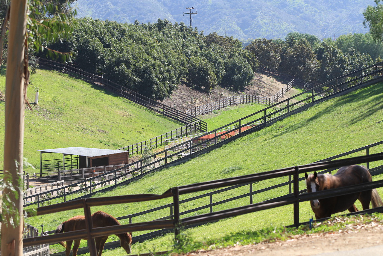 Turning Point Ranch - Gallery Image
