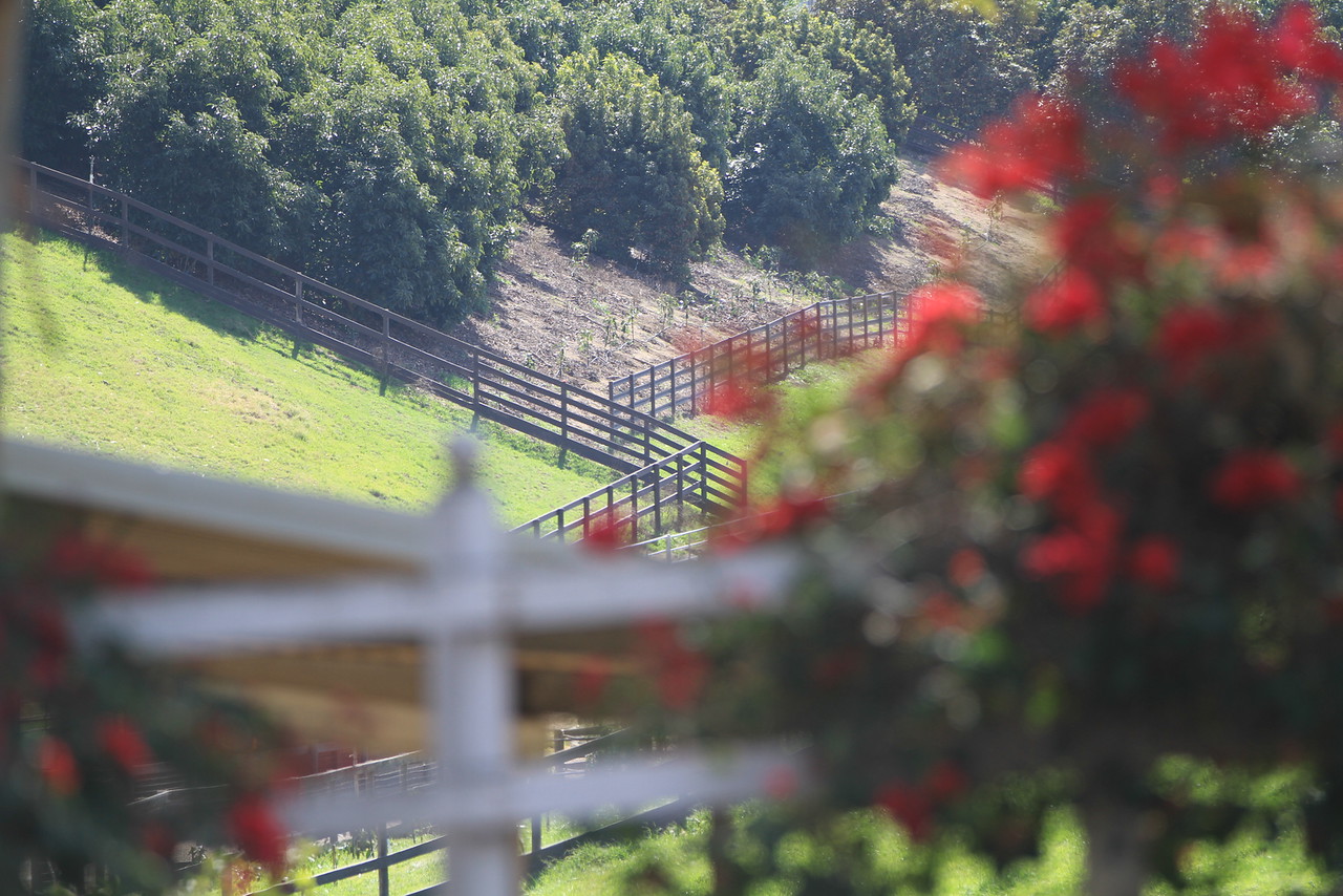 Turning Point Ranch - Gallery Image