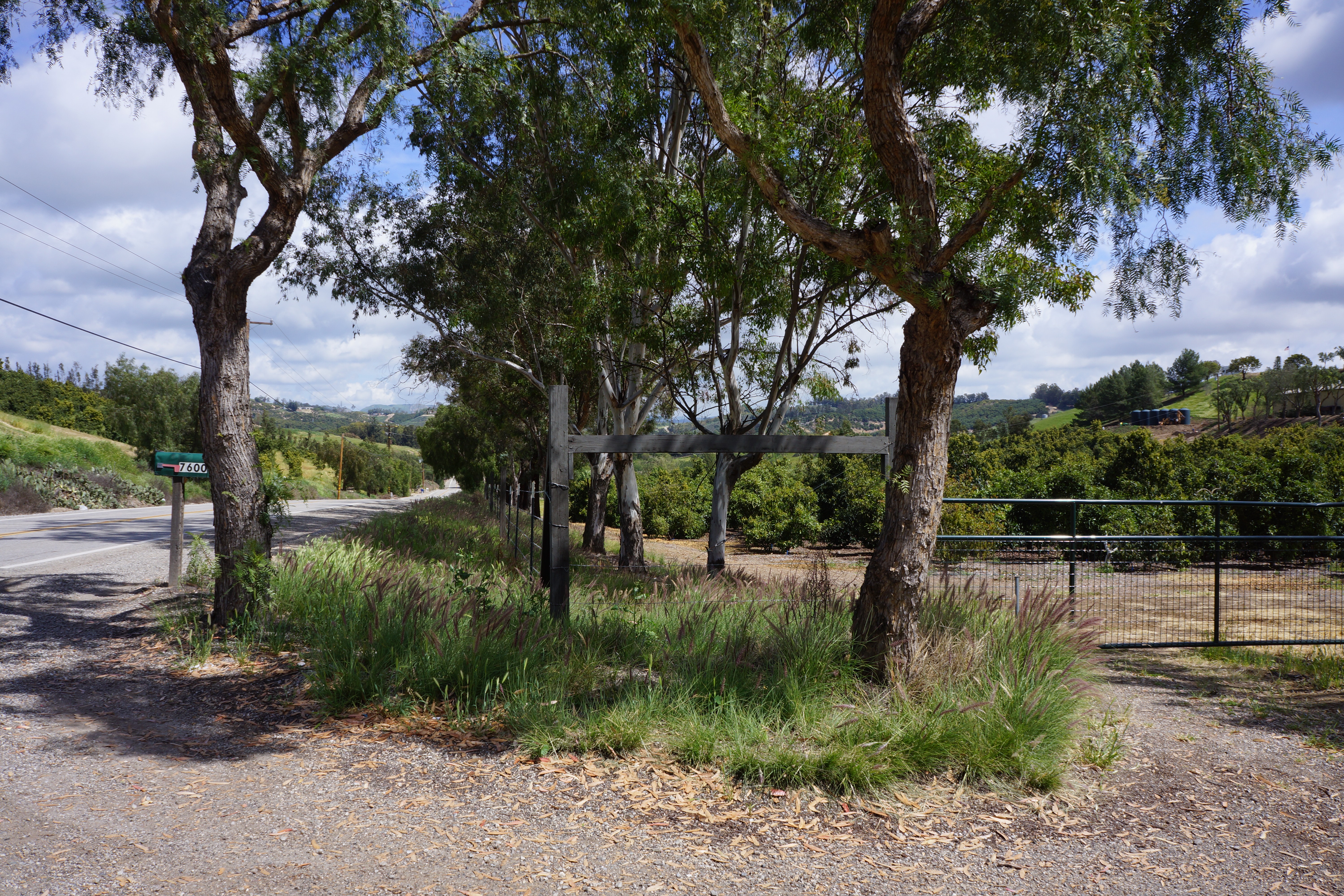 Avocado Ranch Michael James Harrington (Rancho Santa Maria) - Gallery Image
