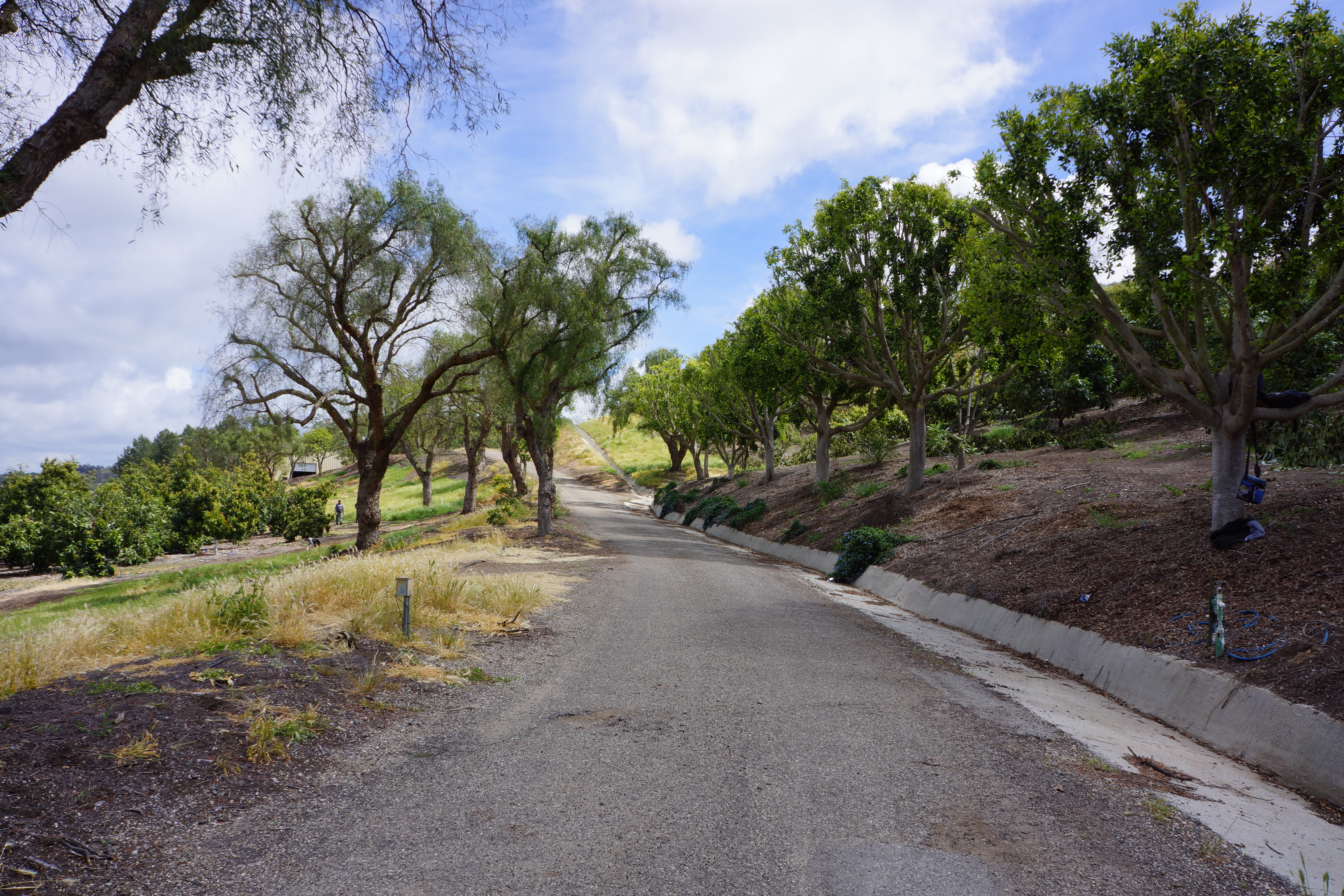 Avocado Ranch Michael James Harrington (Rancho Santa Maria) - Gallery Image