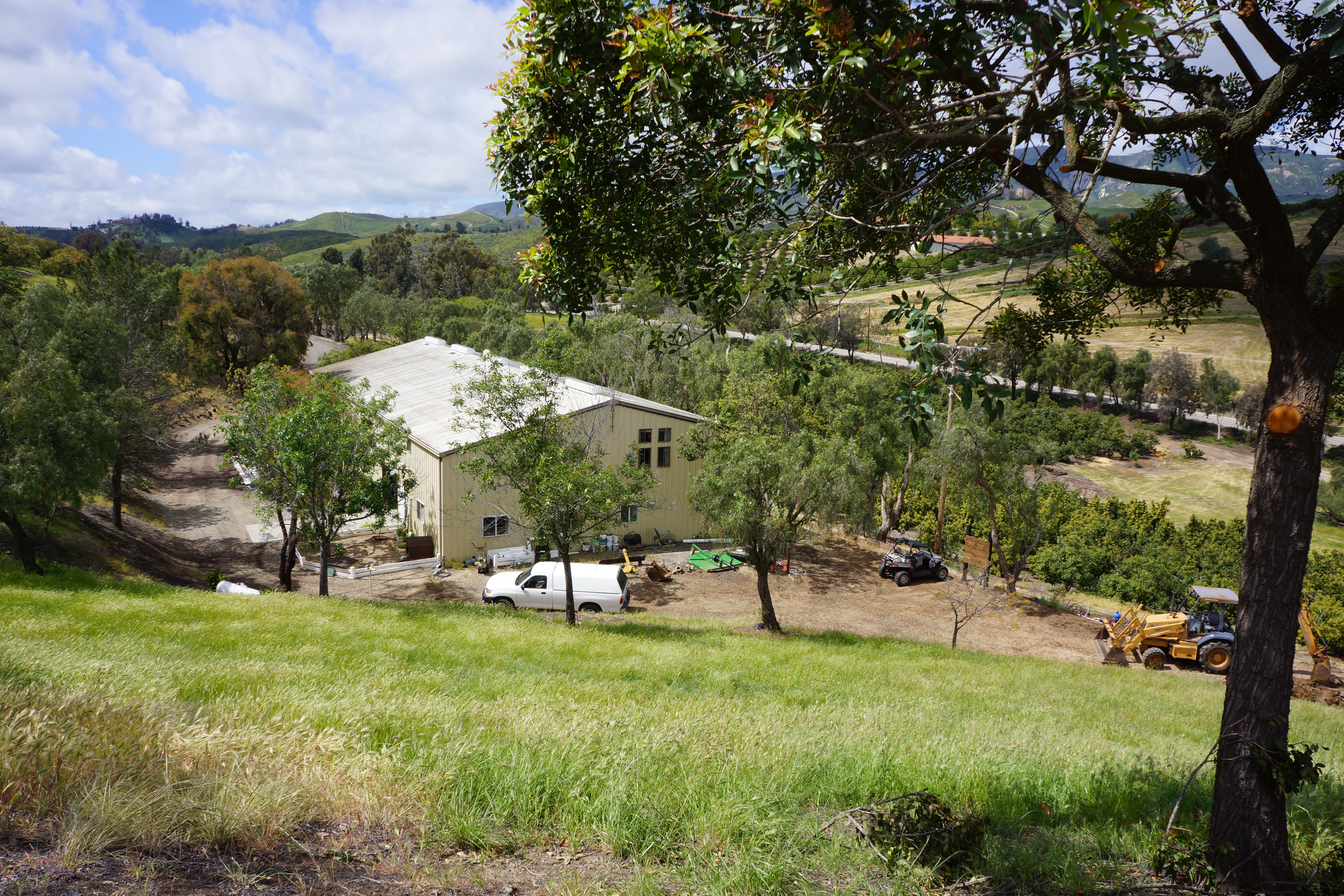 Avocado Ranch Michael James Harrington (Rancho Santa Maria) - Gallery Image