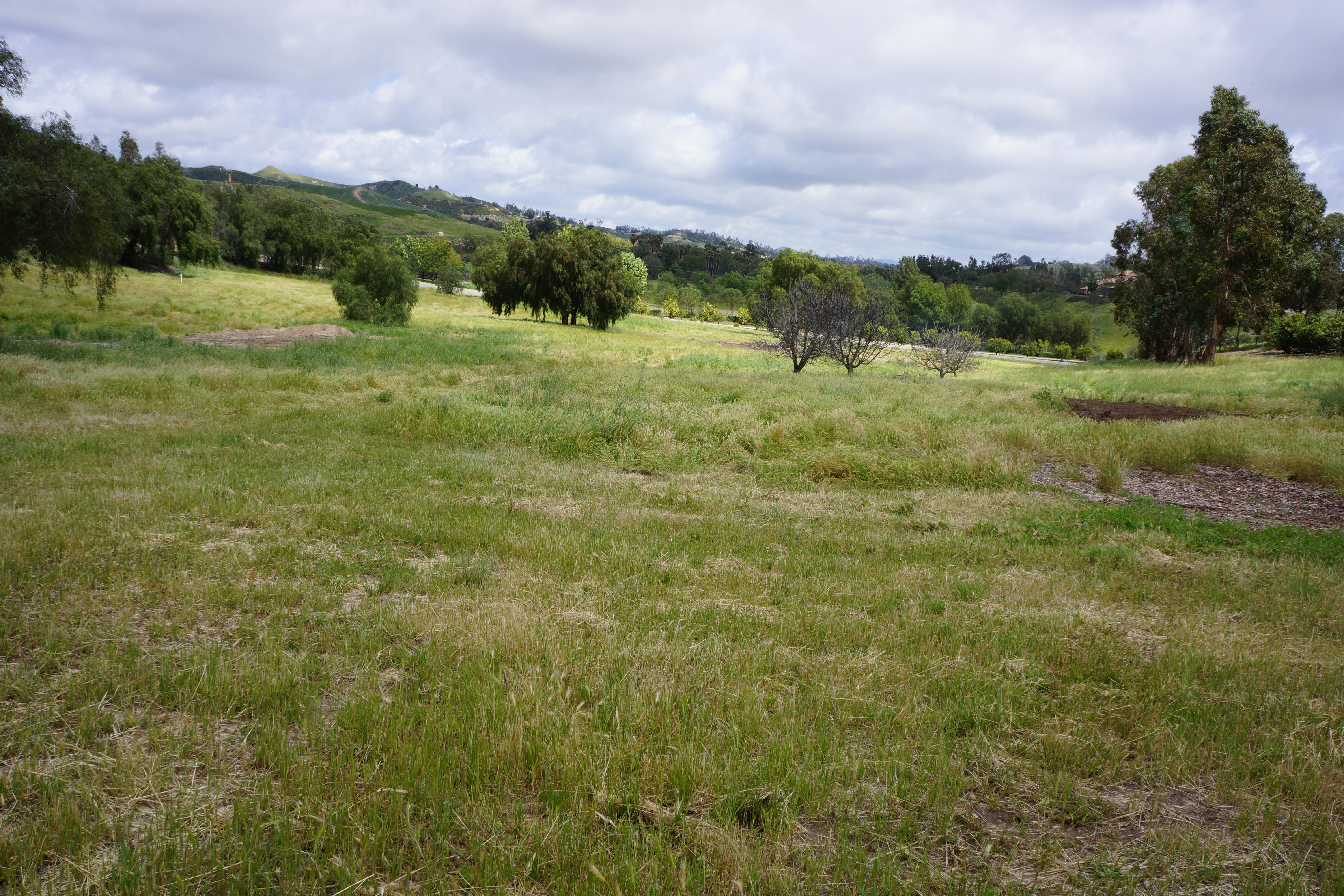 Avocado Ranch Michael James Harrington (Rancho Santa Maria) - Gallery Image