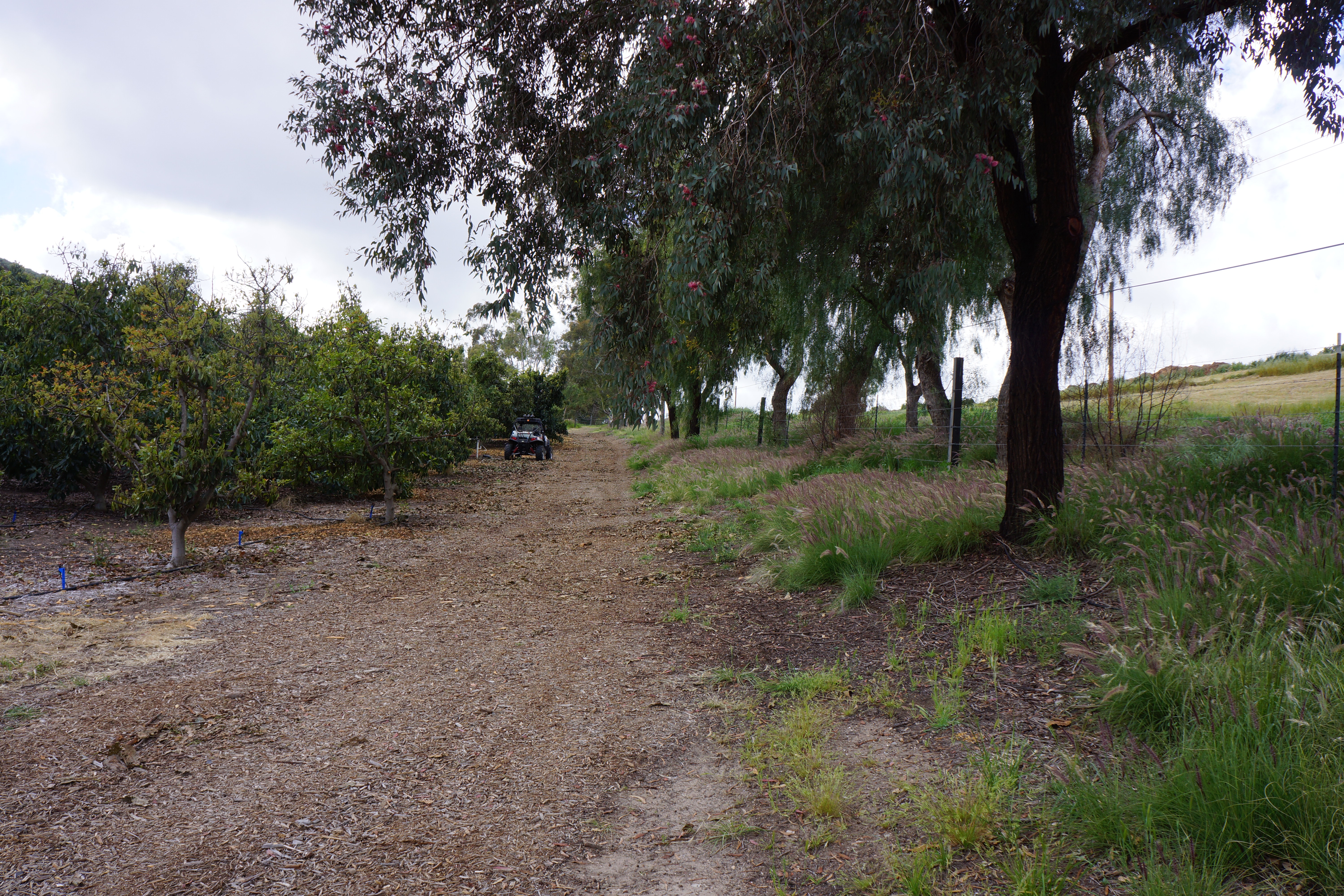 Avocado Ranch Michael James Harrington (Rancho Santa Maria) - Gallery Image
