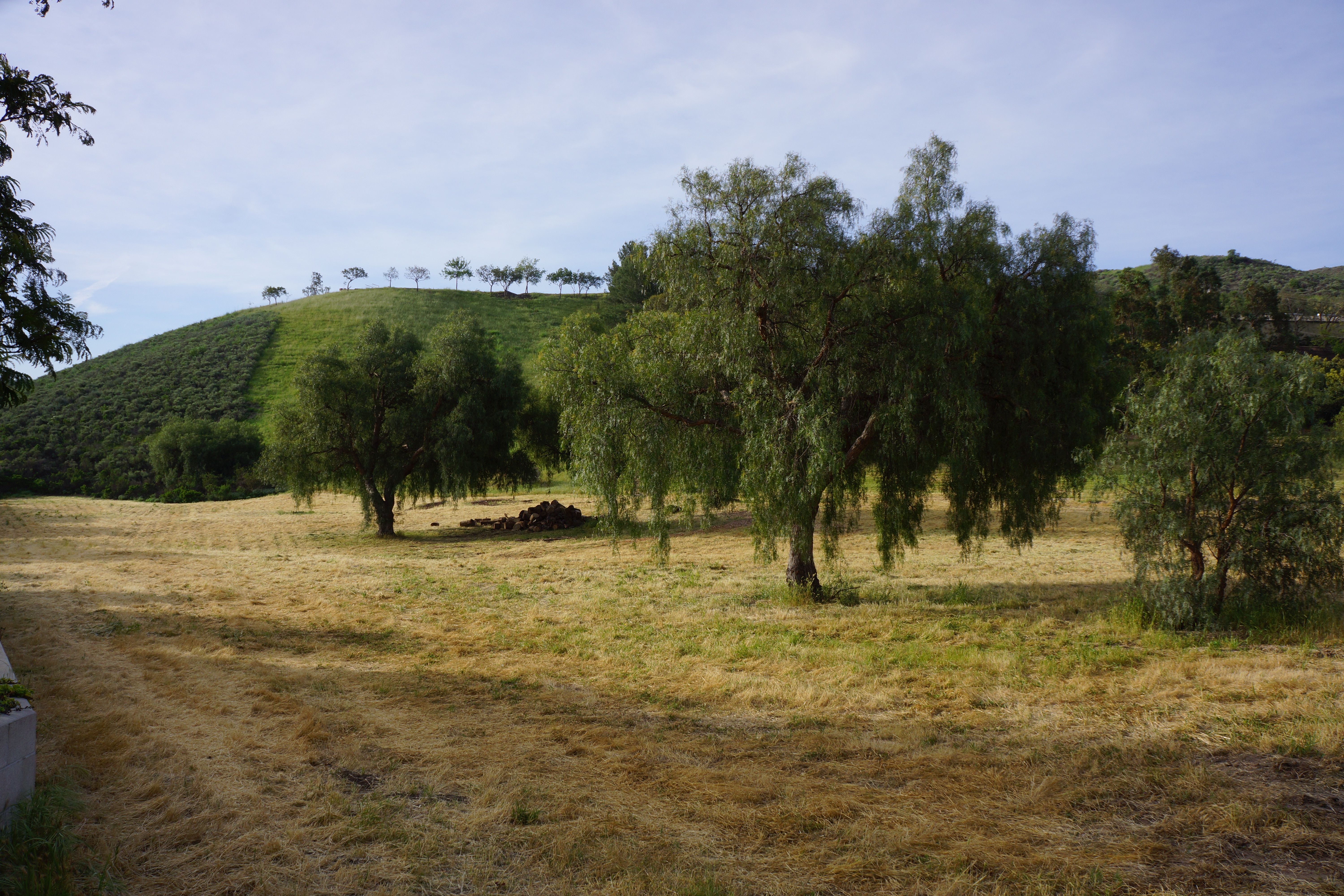 Avocado Ranch Michael James Harrington (Rancho Santa Maria) - Gallery Image