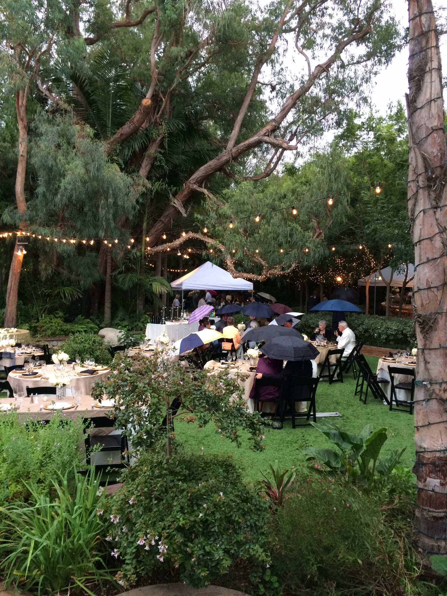 Private Garden Barbara Goodrich - Gallery Image