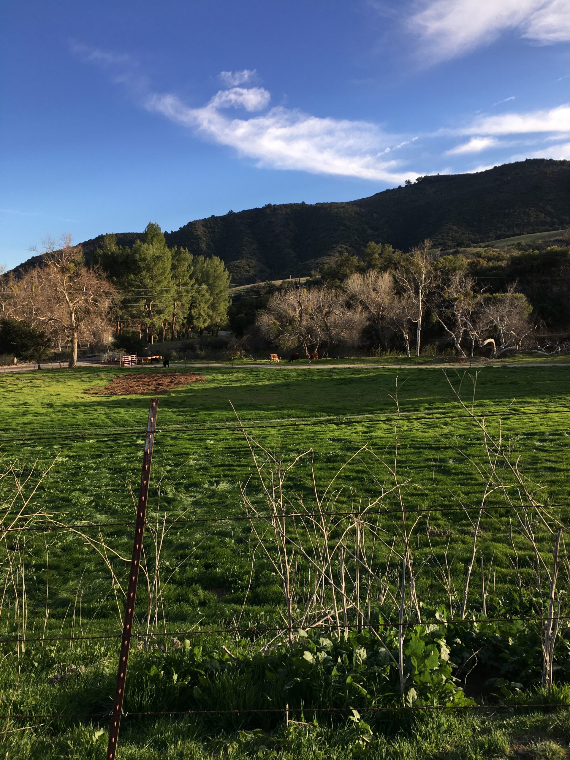 Rancho Del Rey - Gallery Image