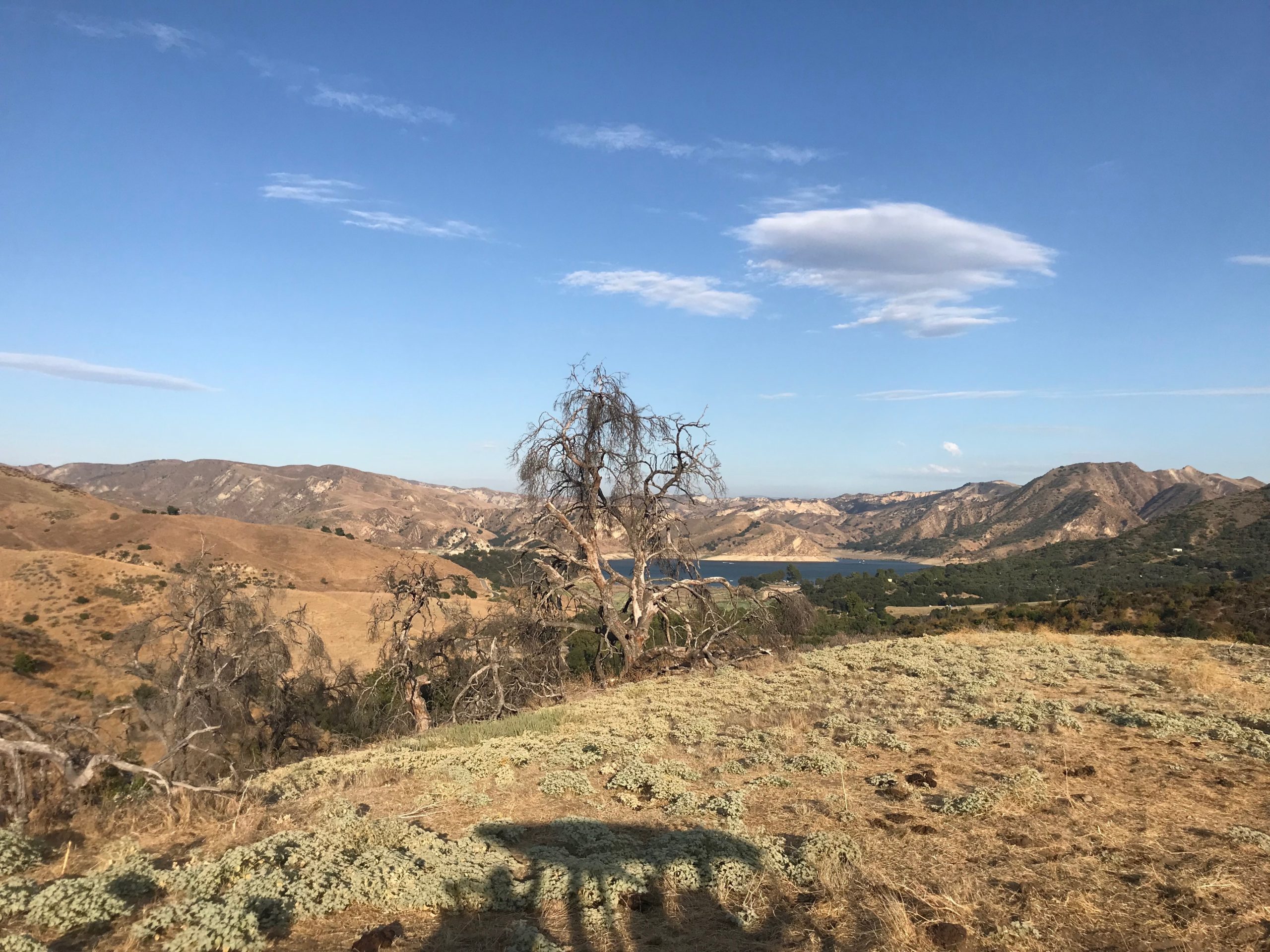 Rancho Del Rey - Gallery Image