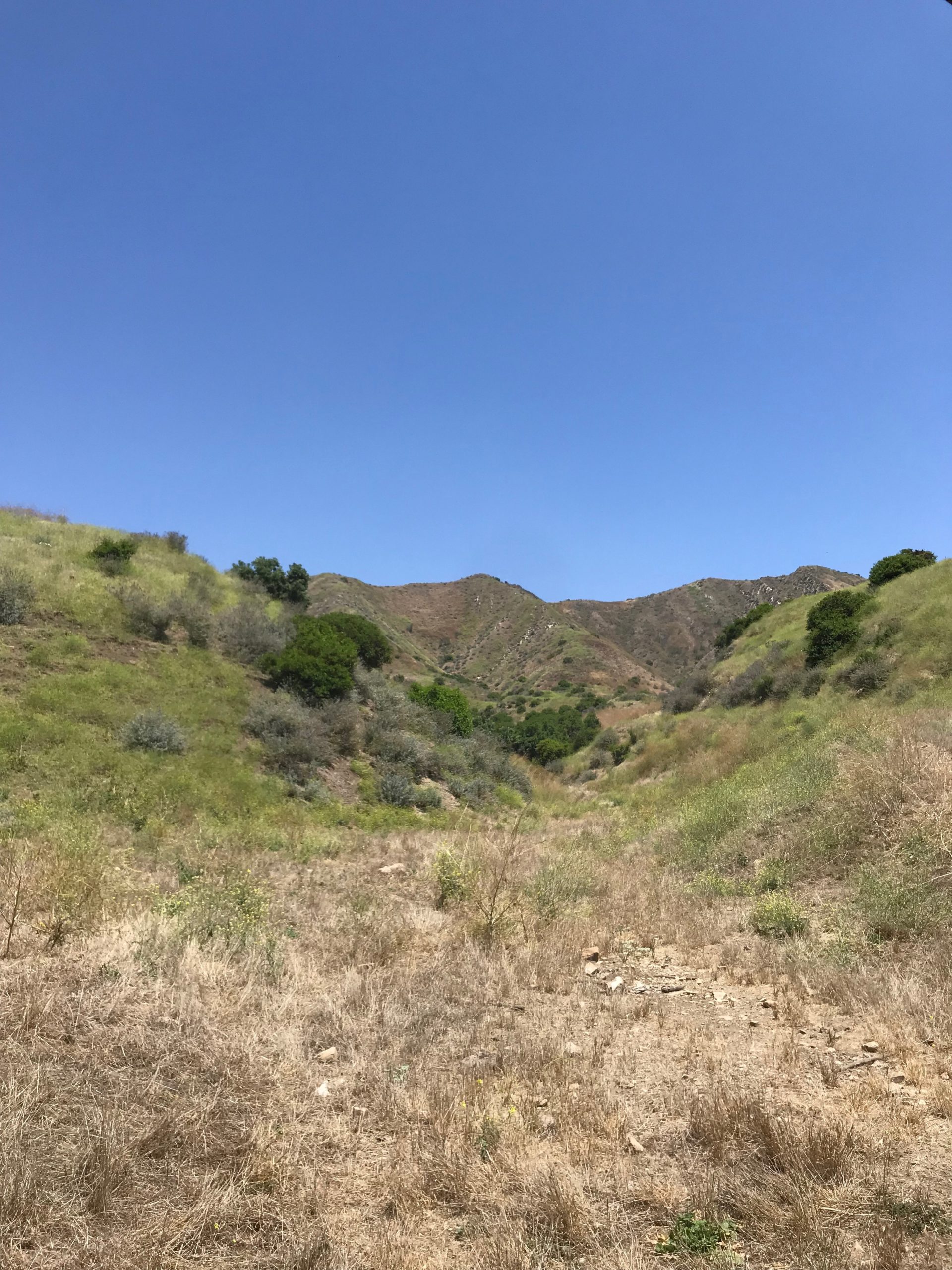 Rancho Del Rey - Gallery Image