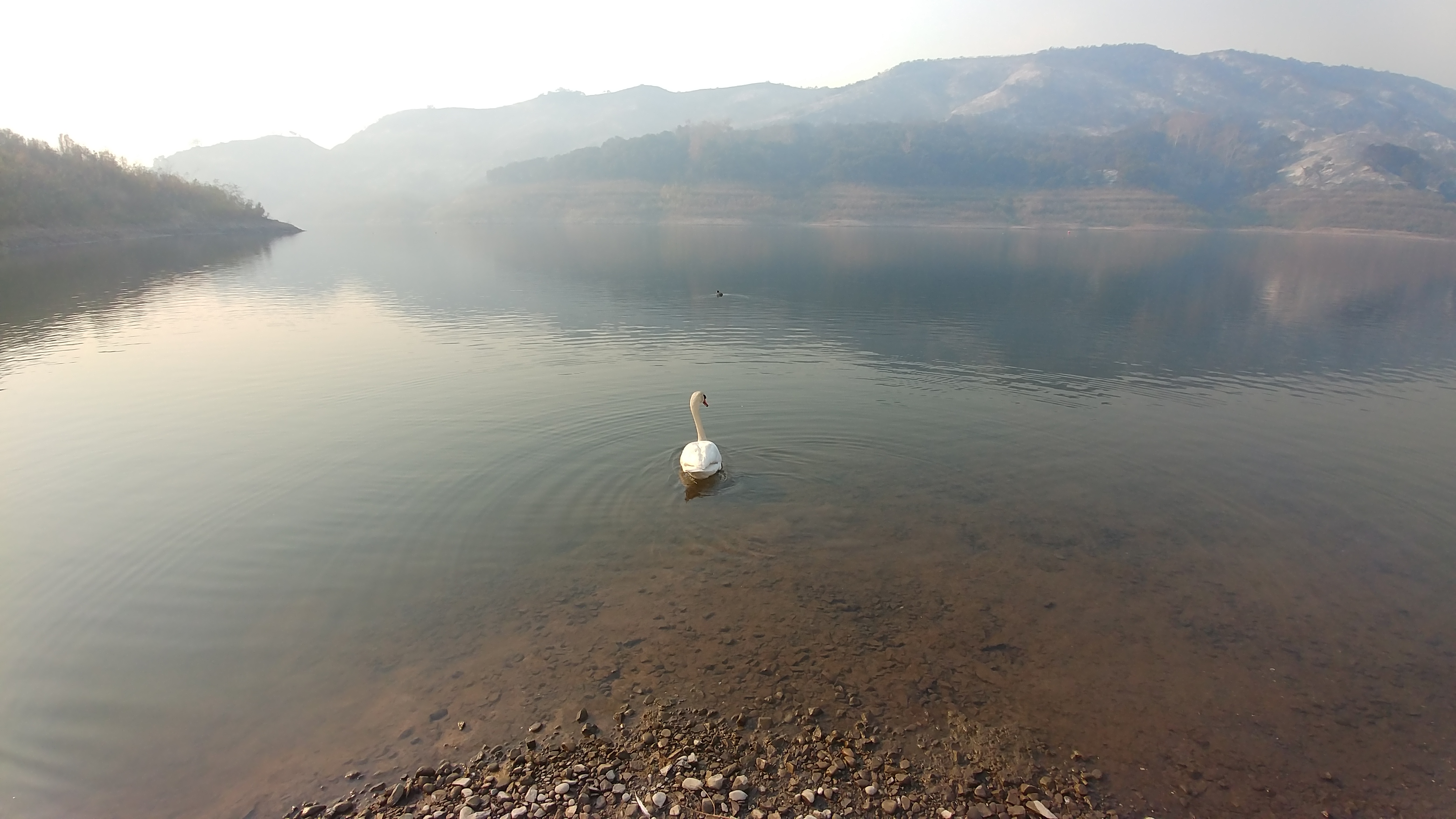 Lake Casitas Recreation Area contact: Stuart Birdsey - Gallery Image