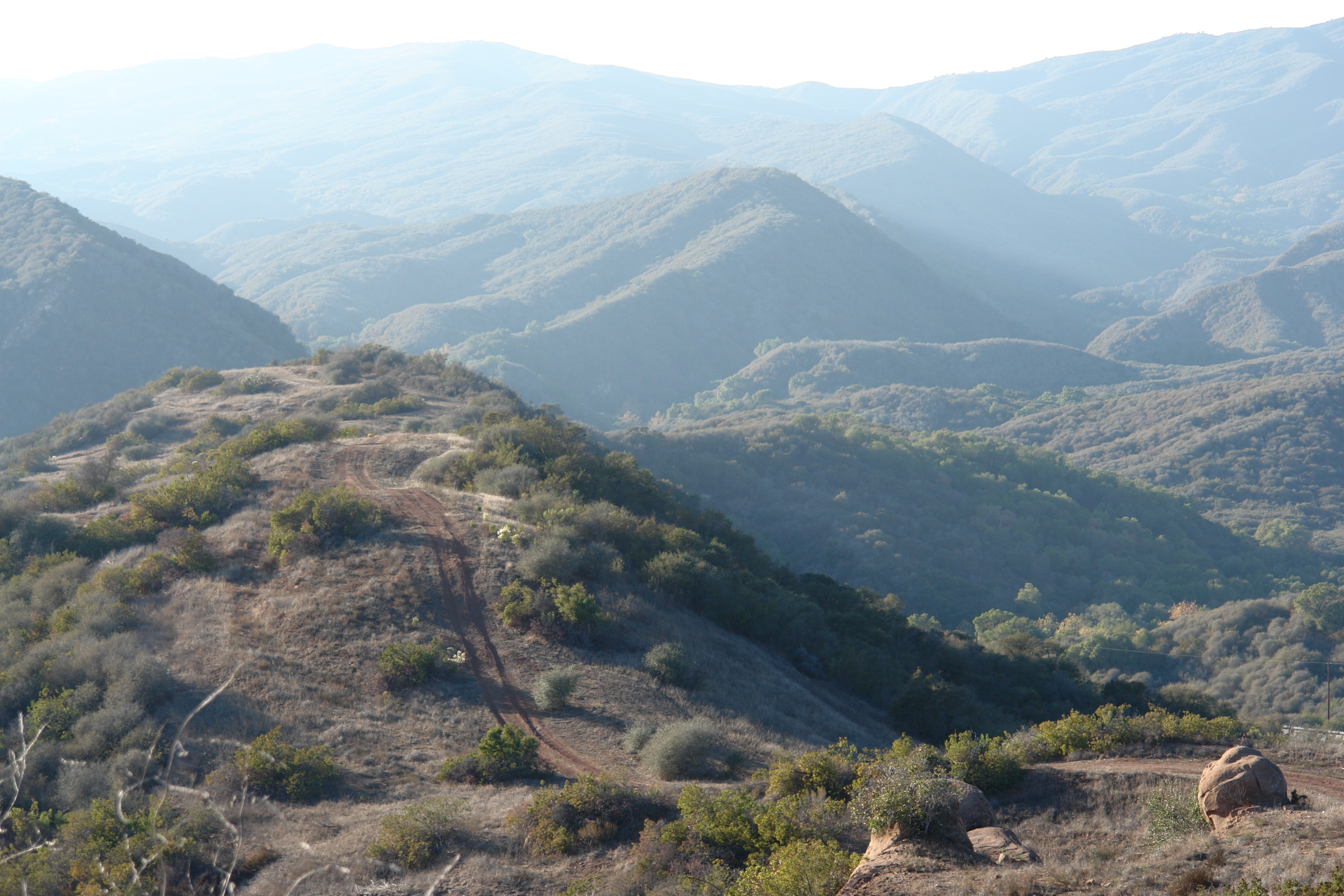 Lake Casitas Recreation Area contact: Stuart Birdsey - Gallery Image