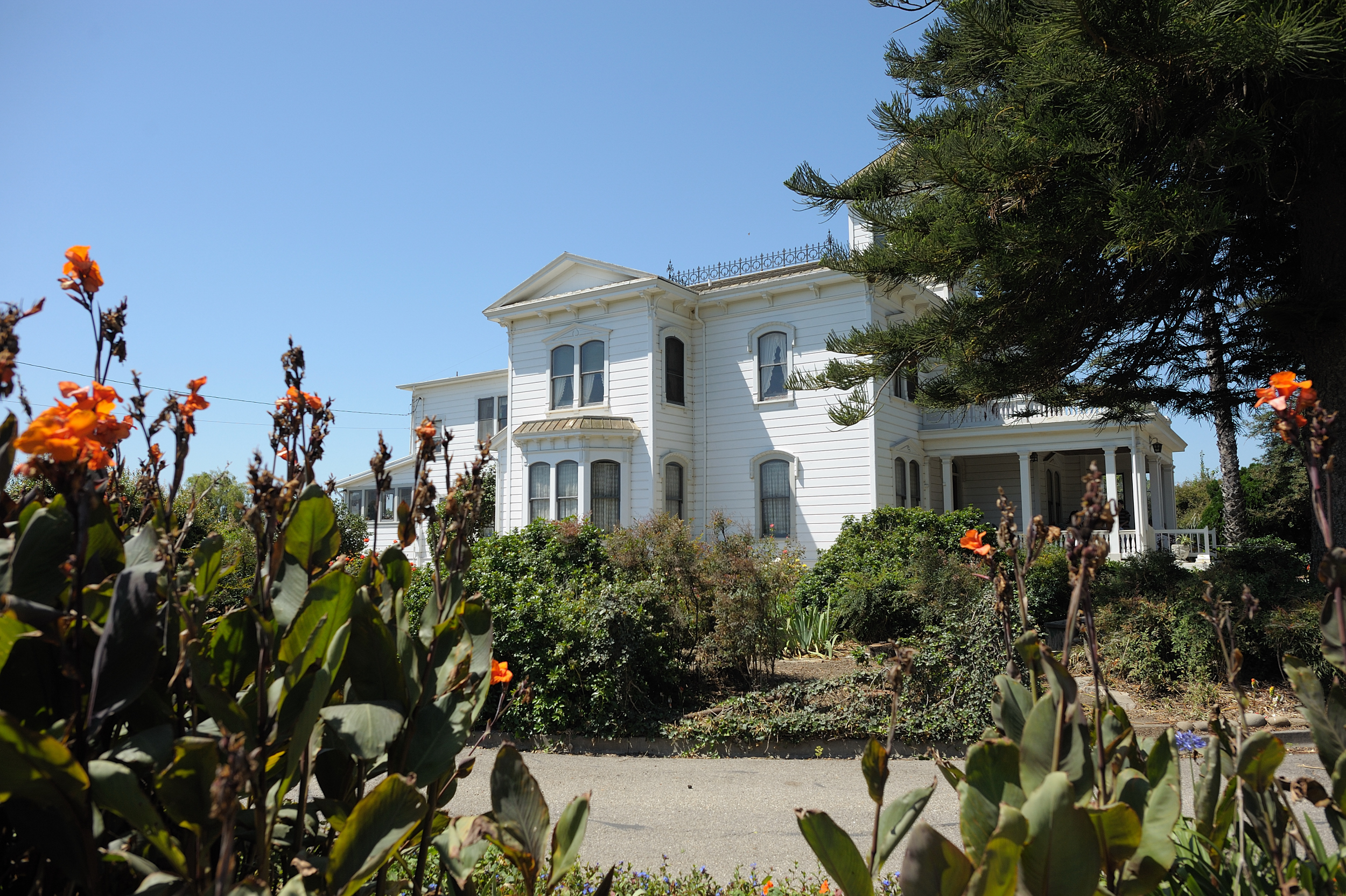 J.M. Sharp Company Home Ranch - Gallery Image