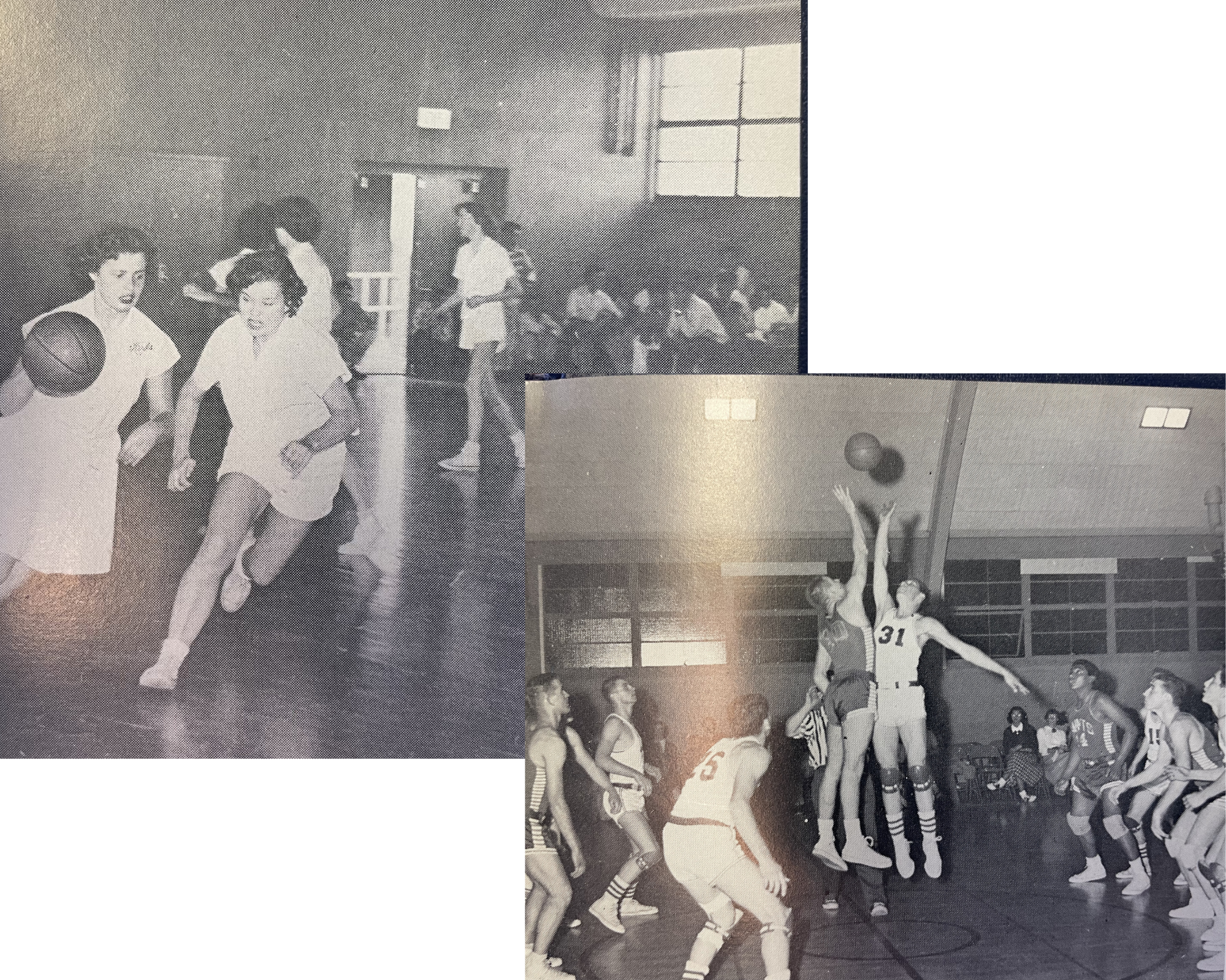 Santa Clara High School Mid-Century Gym (1950's) - Gallery Image