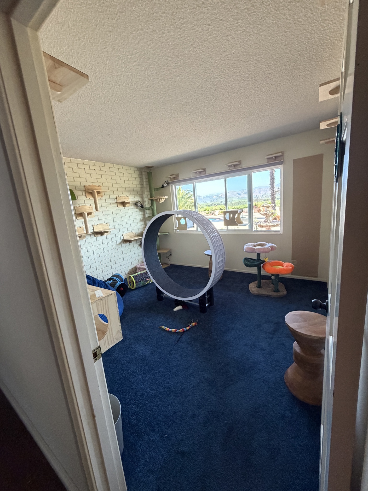 Camp Camarillo - Gallery Image